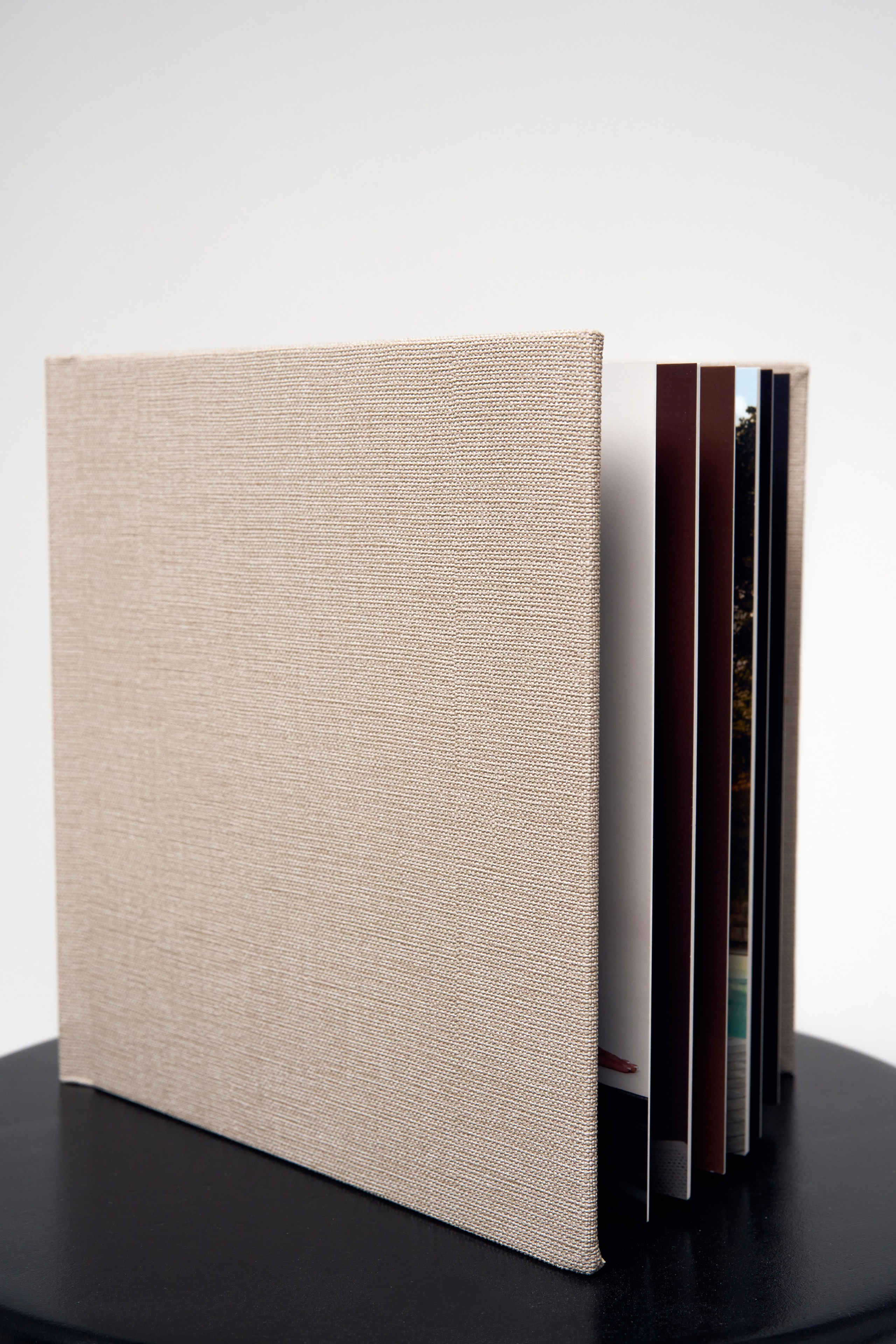 Pregnancy. Studio Timis