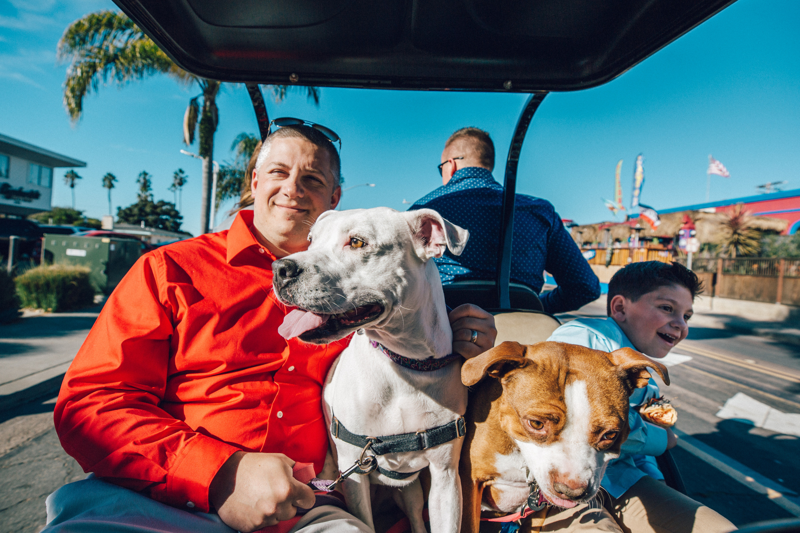 Logan&Taylor. Wedding photography in San Diego