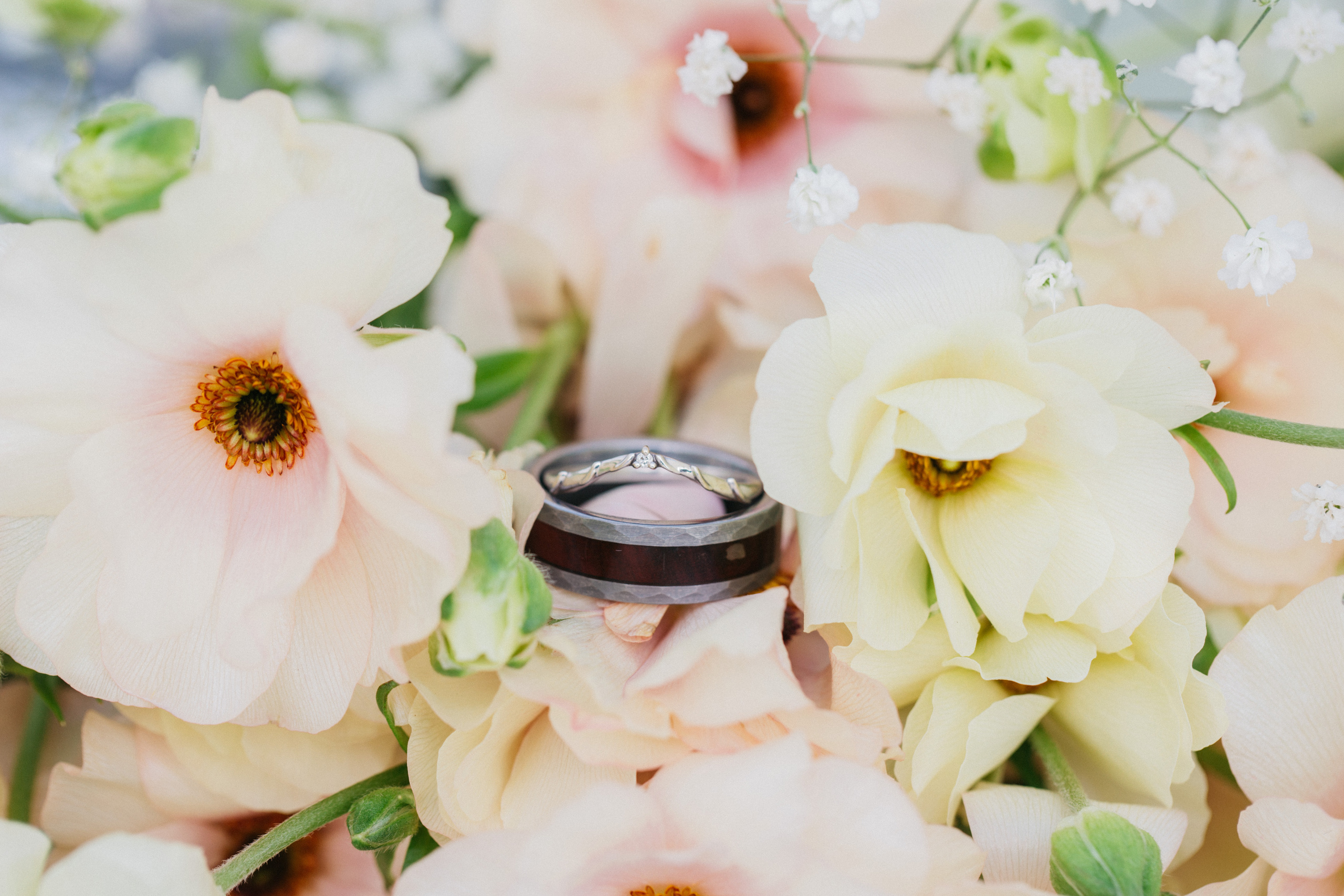 Brandon&Anna. Wedding photography in San Diego