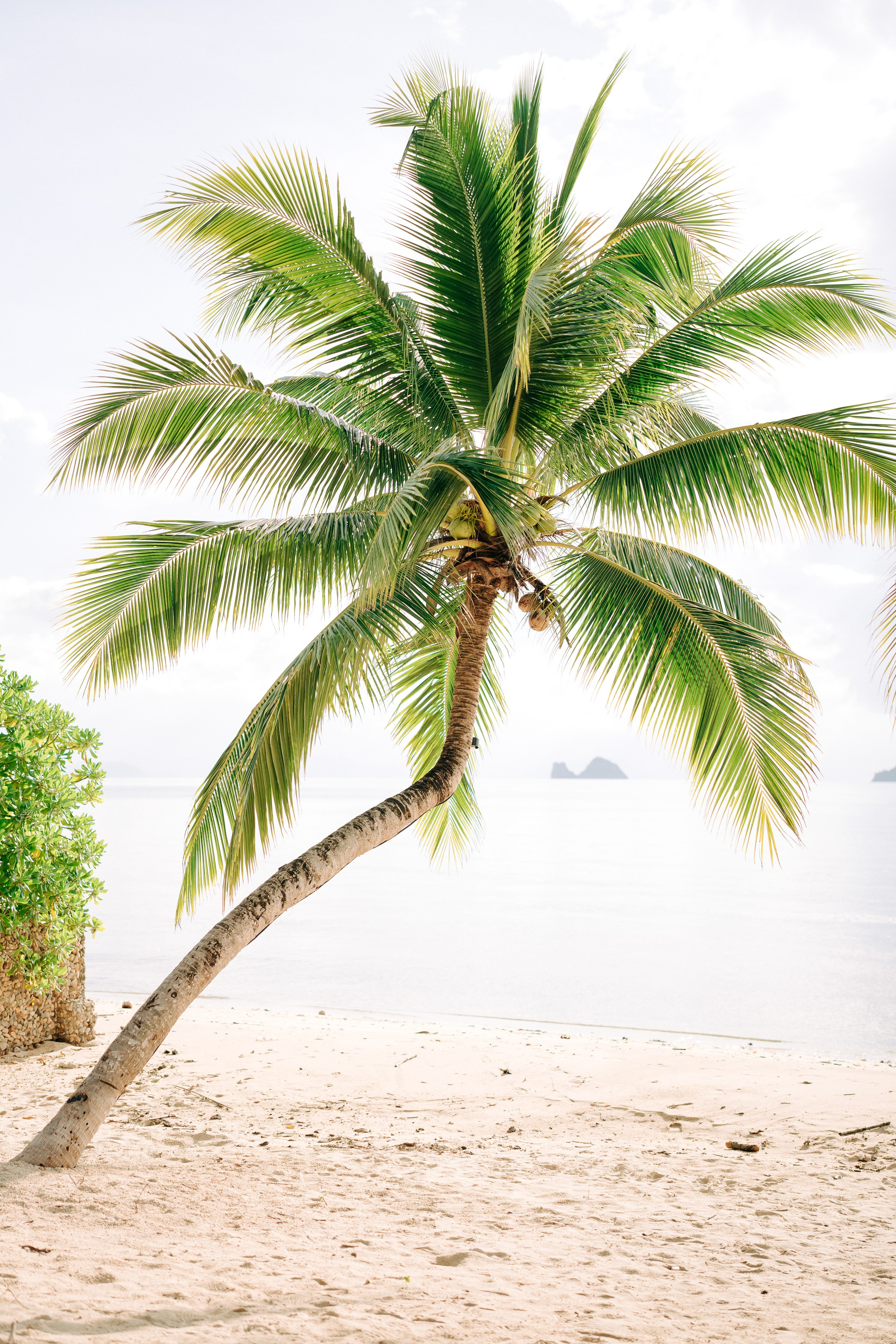 GRACE & MARTIN. Буддийская свадебная церемония на Самуи, Таиланд