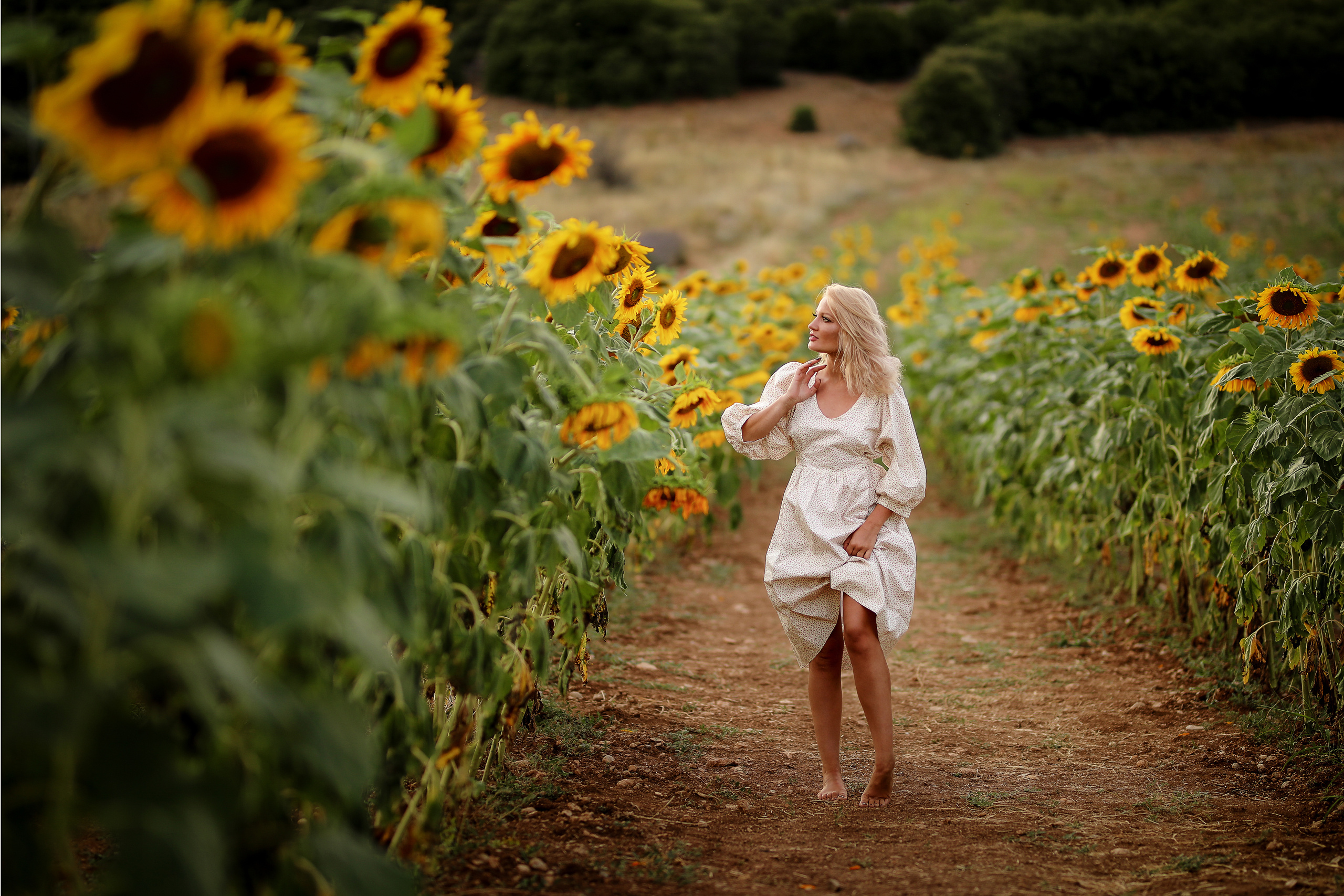 Фотосессия на поле подсолнухов в Турции. Фотограф в Турции, Анталии, Кемере, Белеке, Сиде, Каше, Калкане, Фетхие
