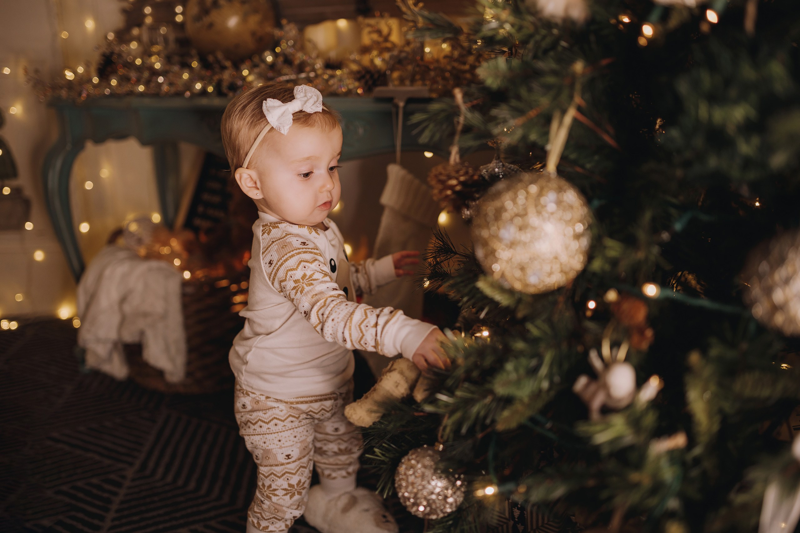 09.12.2023 Christmas Photoshoot. Wedding family event photographer in Chicago Nick Yushevich