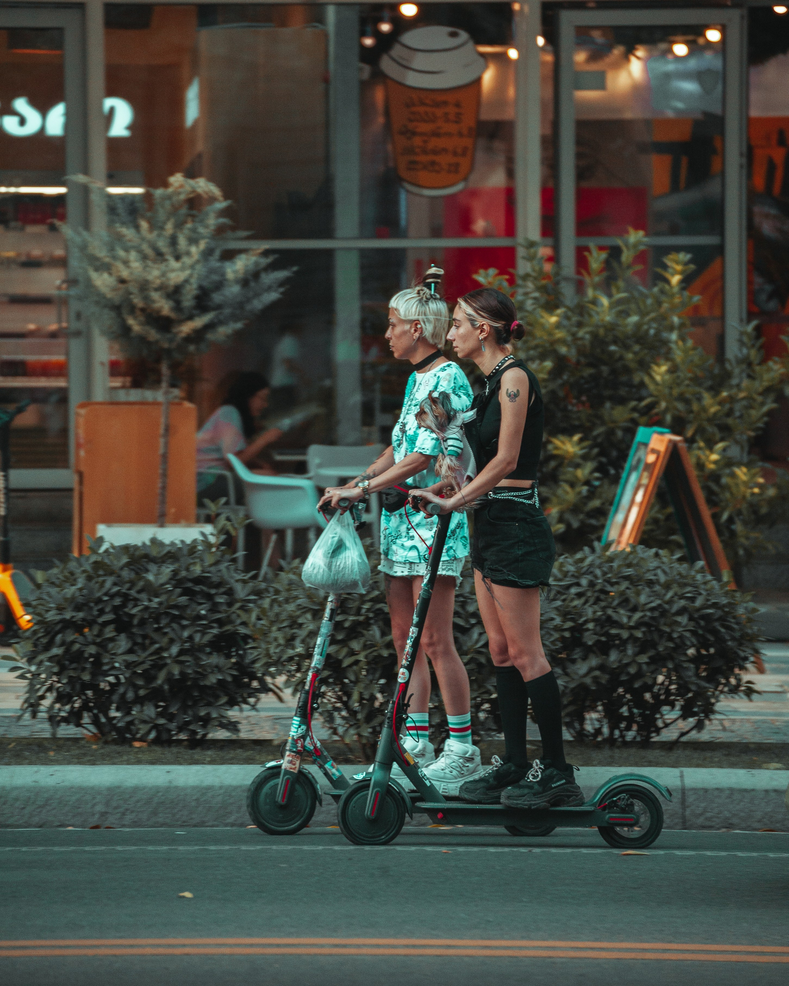 T B I L I S I. Bspander