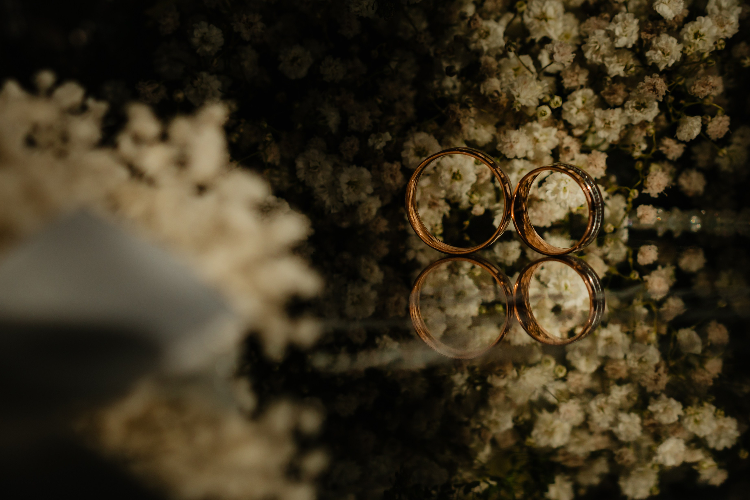 Fotografii Nuntă. Pantelimon Fotograf