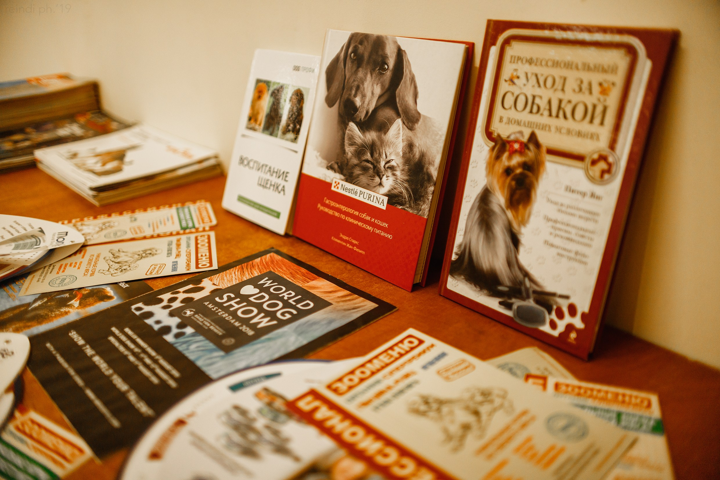 Dog handling hall. Kaja | fotograf we Wrocławiu | ludzie i psy