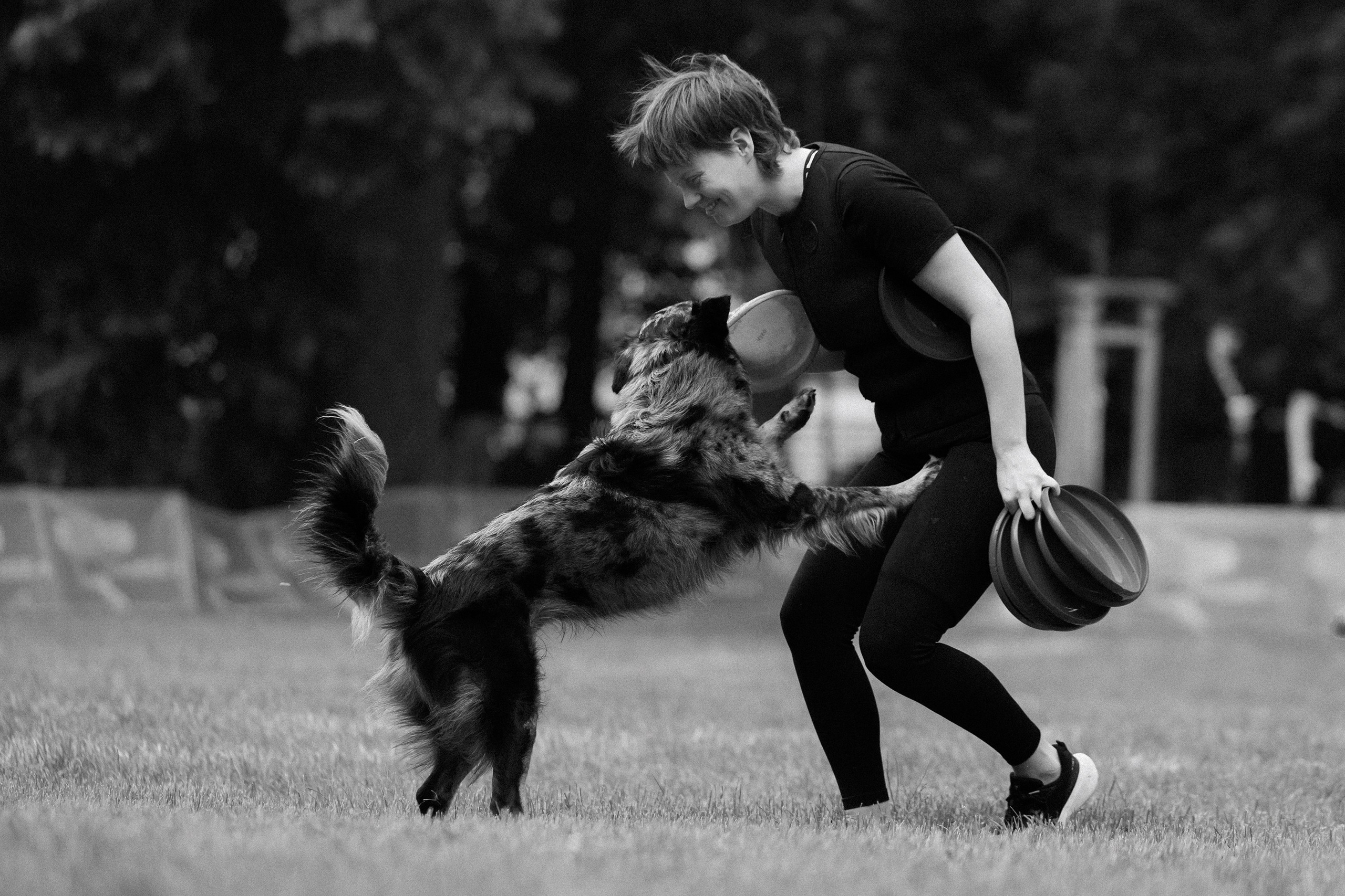 Latające psy, Wrocław'25. Kaja | fotograf psów we Wrocławiu