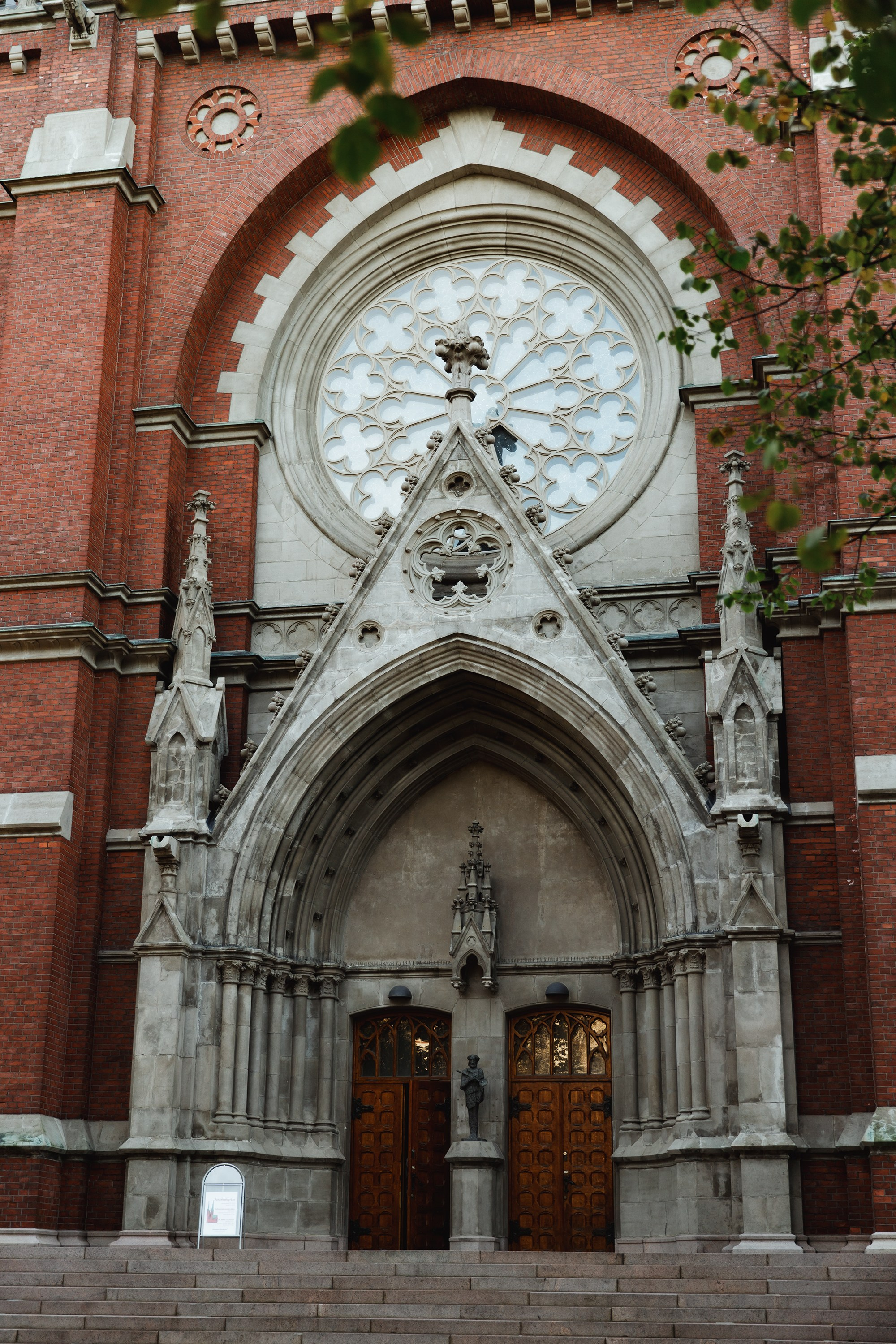 Helsinki. Kaja | fotograf psów we Wrocławiu