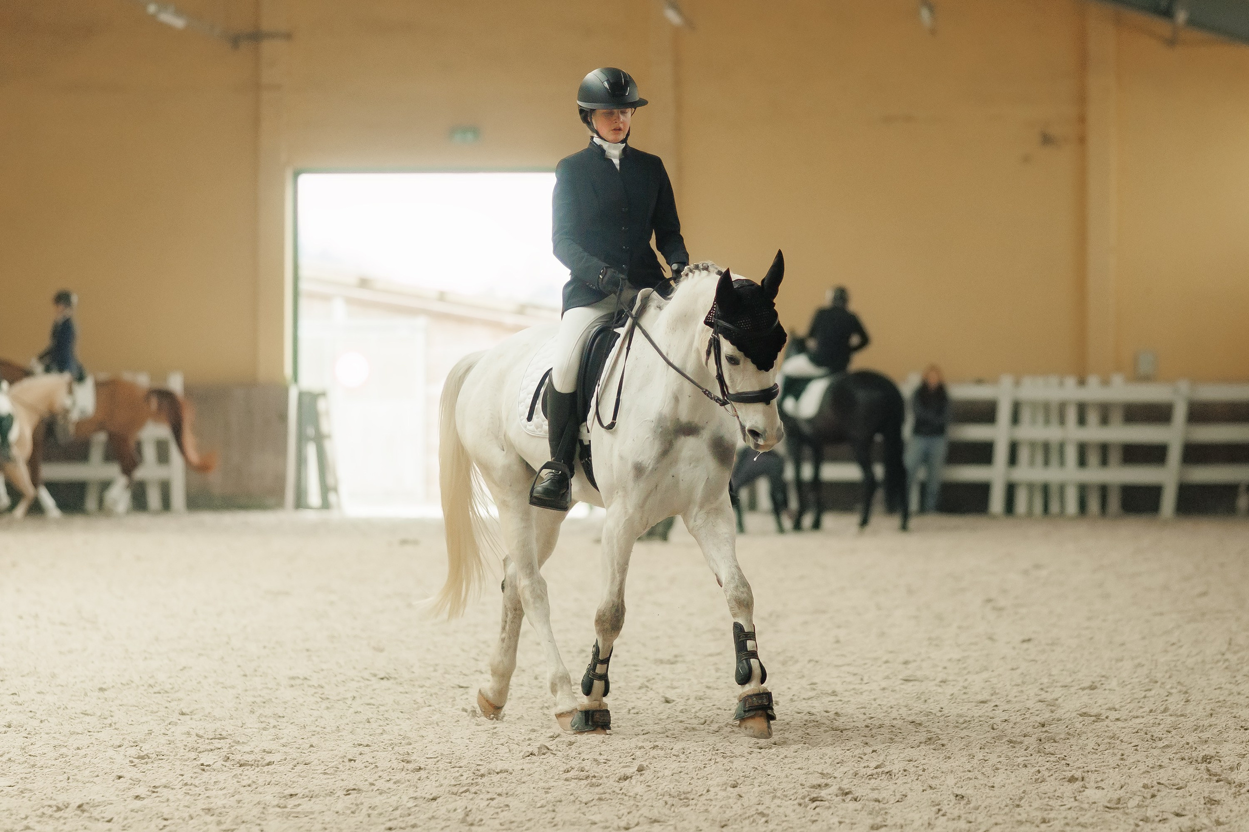 Fotografia koni Wrocław \ ujeżdżenie, Partynice. Kaja | fotograf we Wrocławiu | ludzie i psy