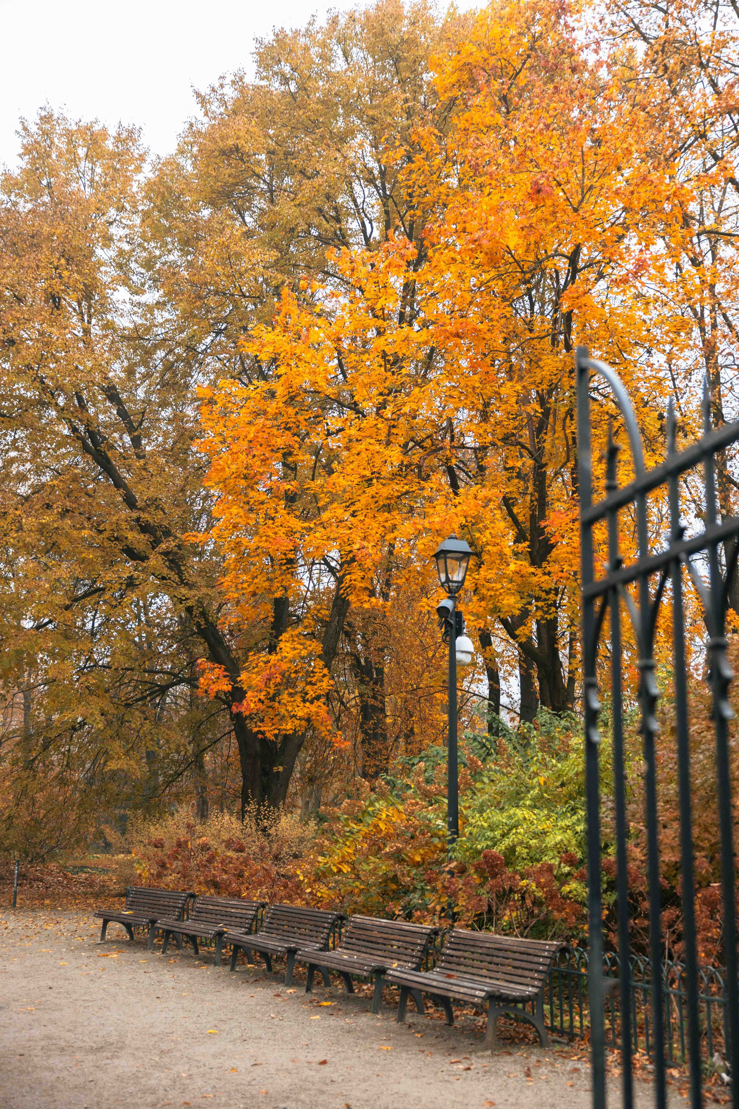 Best Autumn Photoshoot Locations in Vilnius: Top Spots to Capture the Fall Colors. Framed by Evelina | Destination Wedding Photographer from Lithuania | Europe