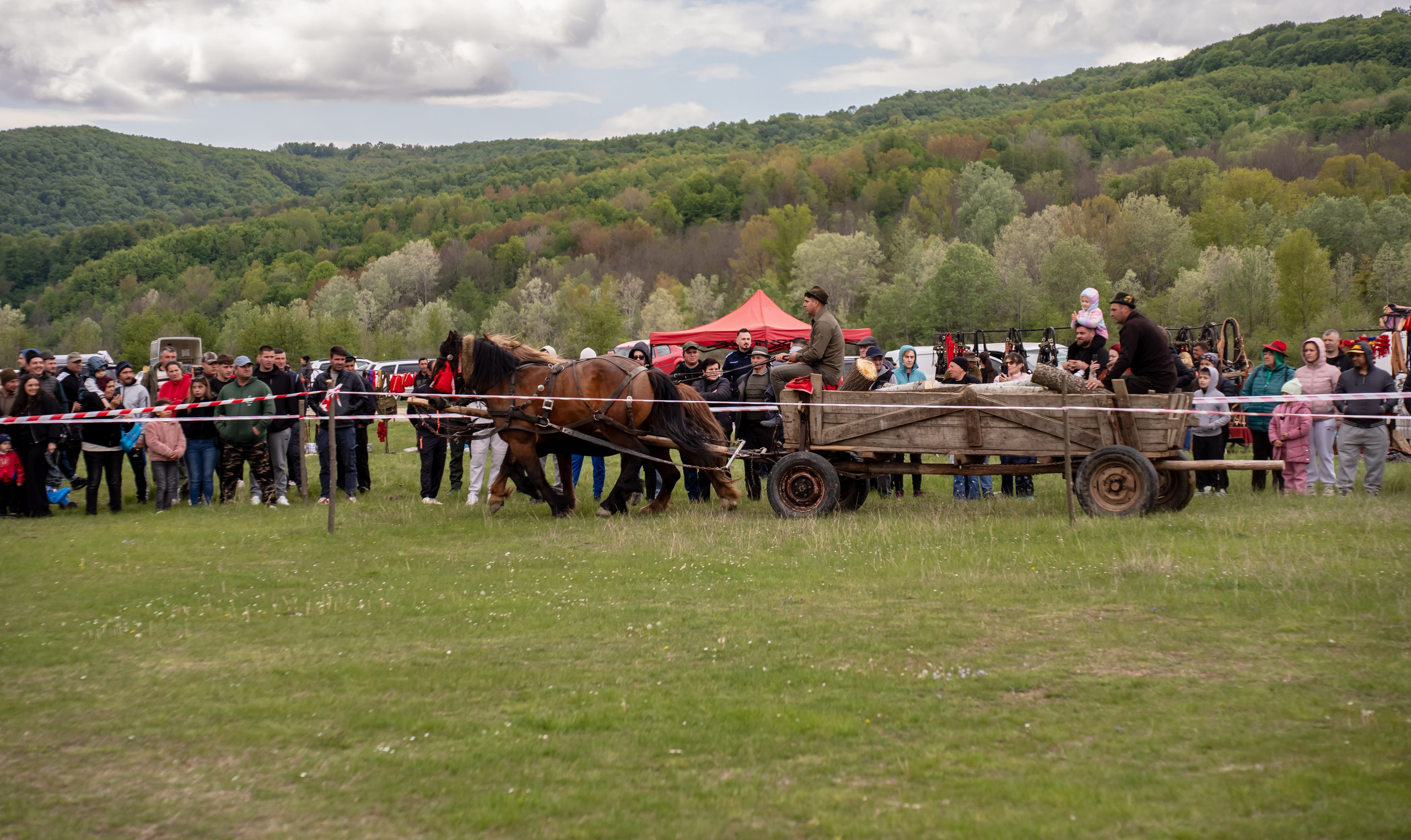 Concurs Ecvestru Vărbilău ediția a 4-a. Mihai Alexandra Events