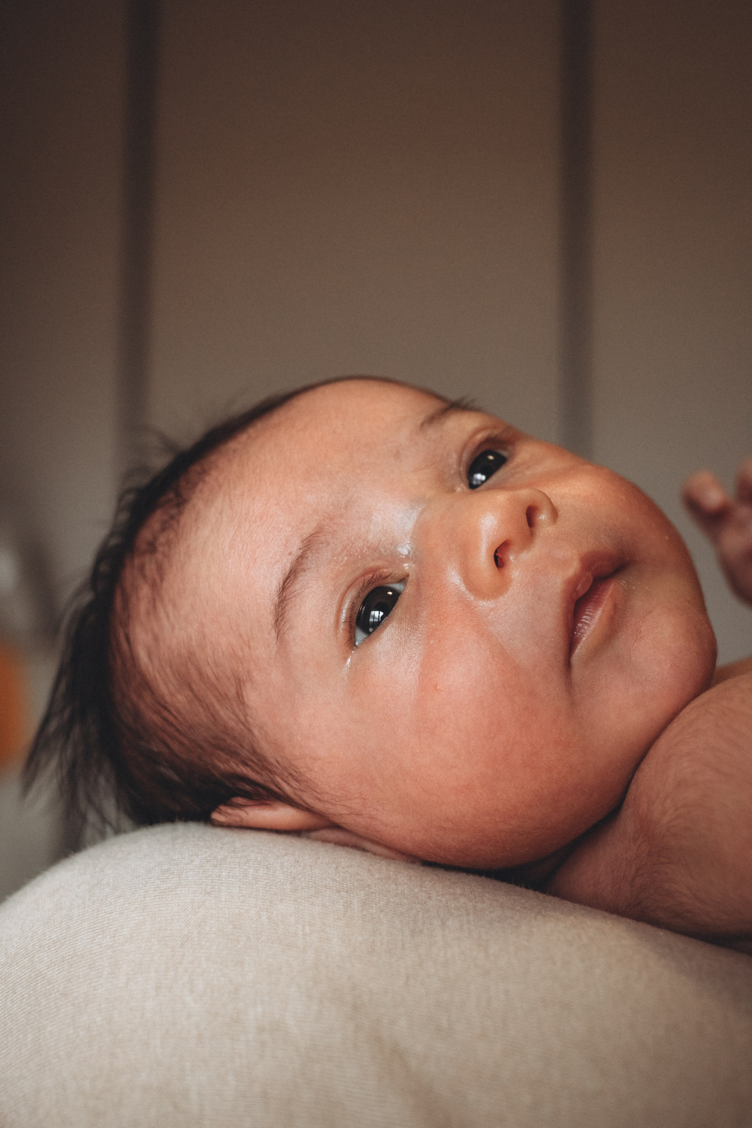 Saulo — Primeiros Dias. Principal