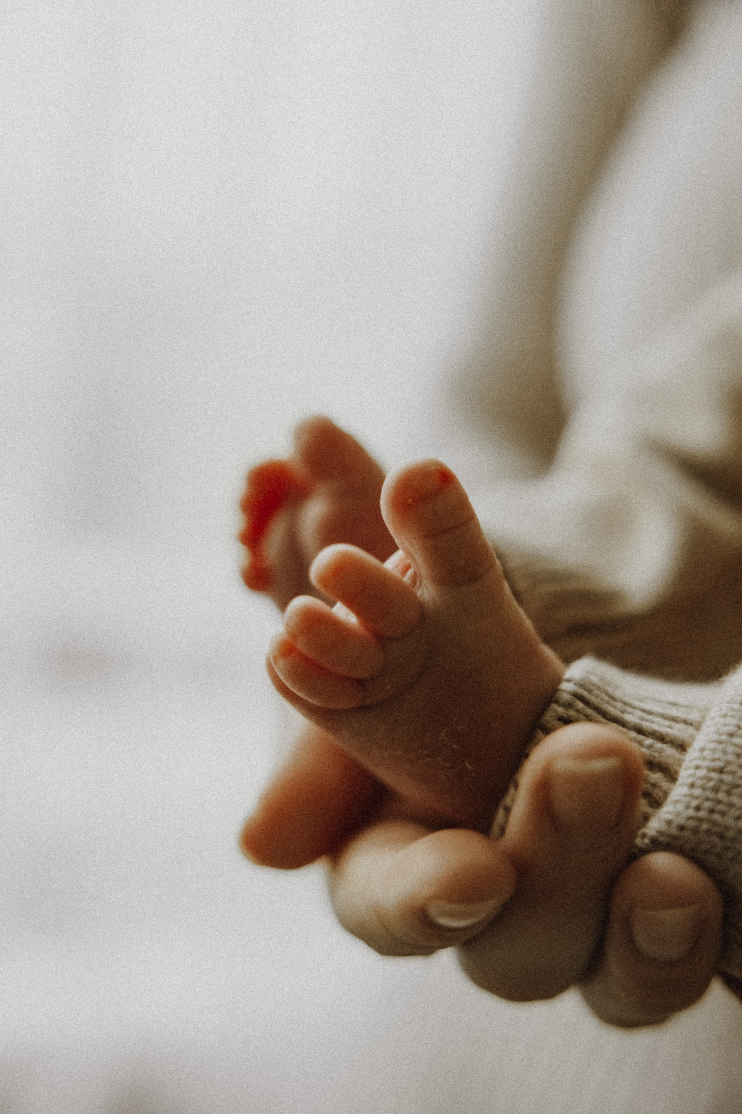 Baby Boy. Фотограф Ирина Йотова