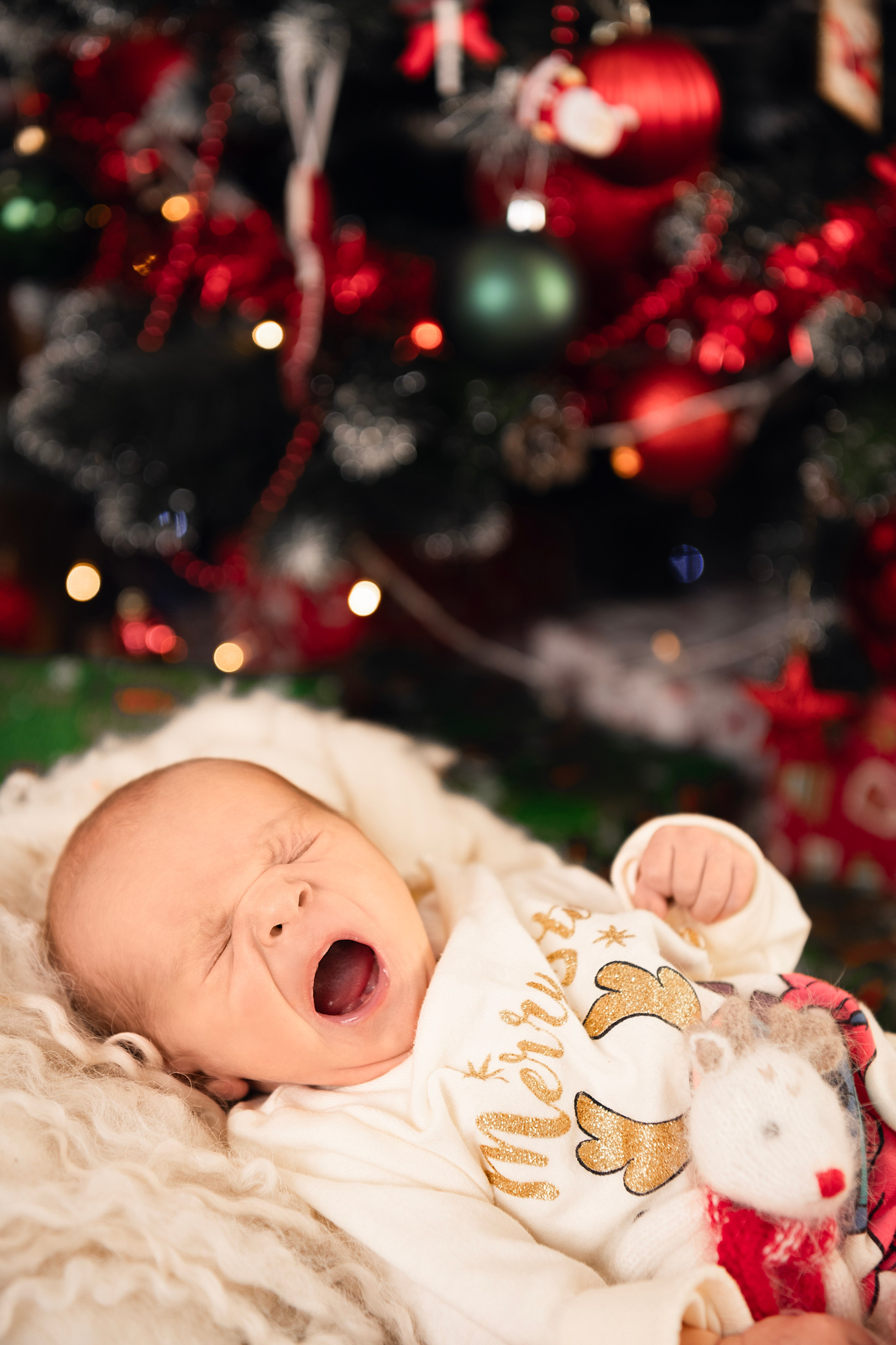 Sesja świąteczna. VideofotKA.pl