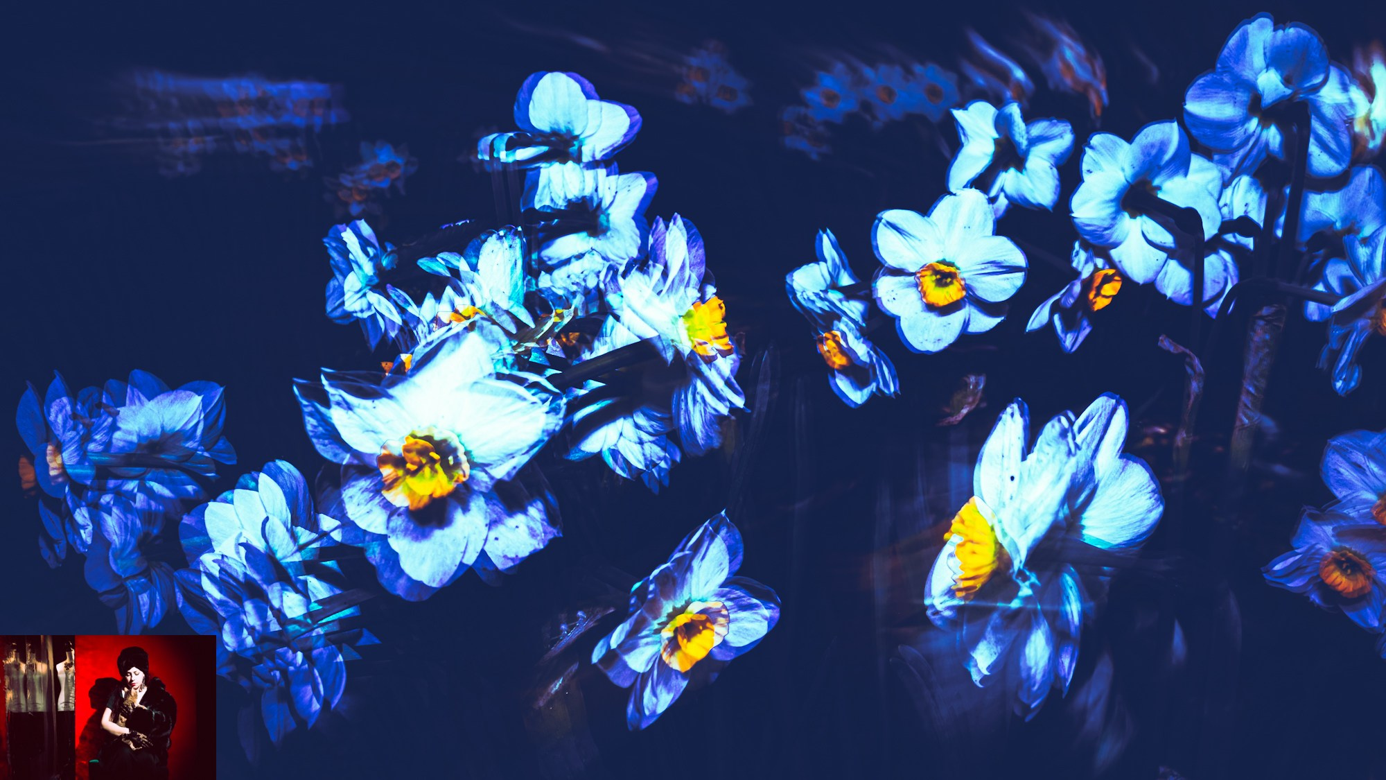 Portraits of Park Residents. Ekaterina Tsurkina-Appina Photography Canada