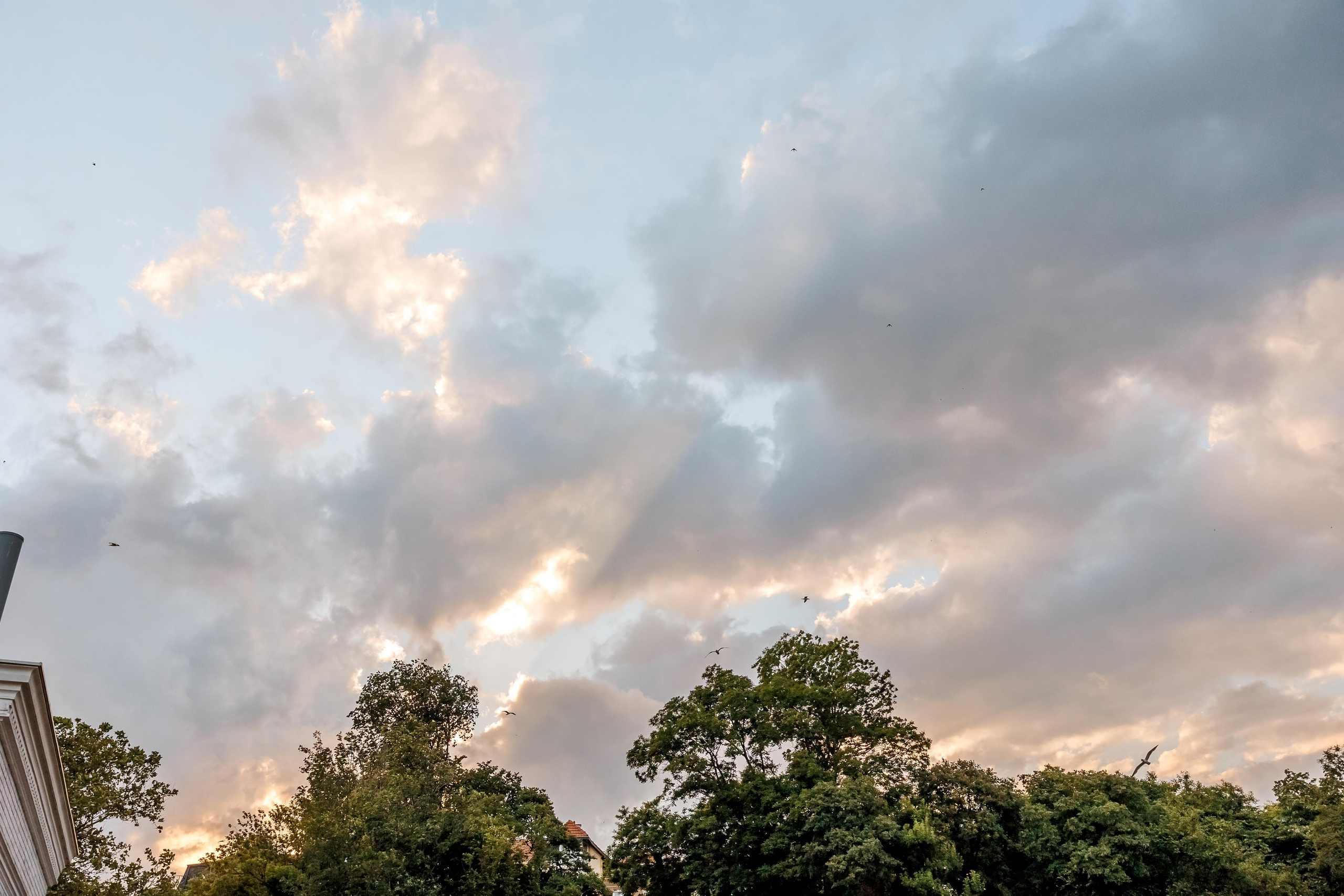 Честит Първи Рожден Ден. Фотограф Ирина Йотова