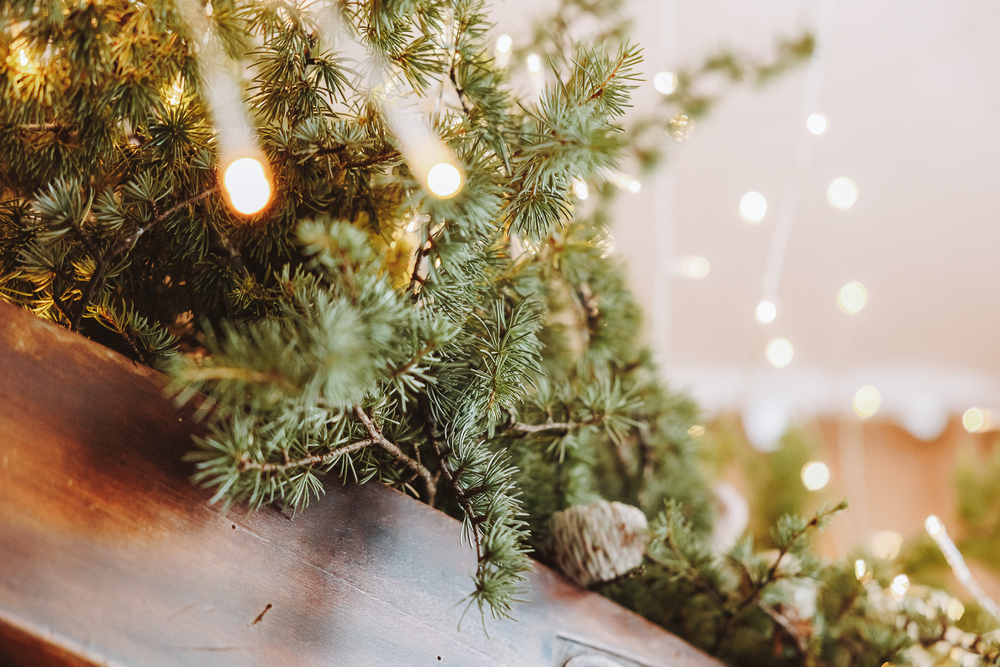 Декор №1. Фотограф Ирина Йотова