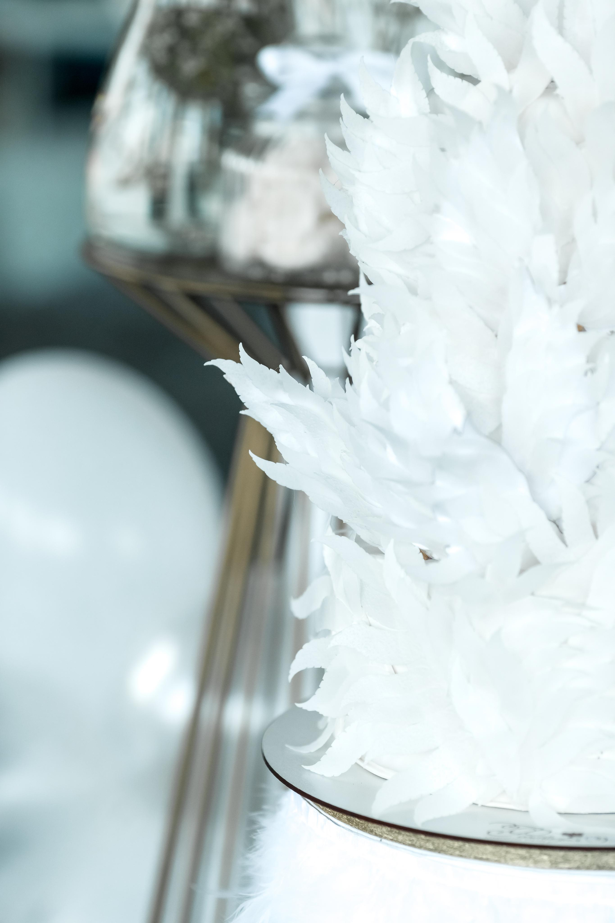 Честит Първи Рожден Ден. Фотограф Ирина Йотова