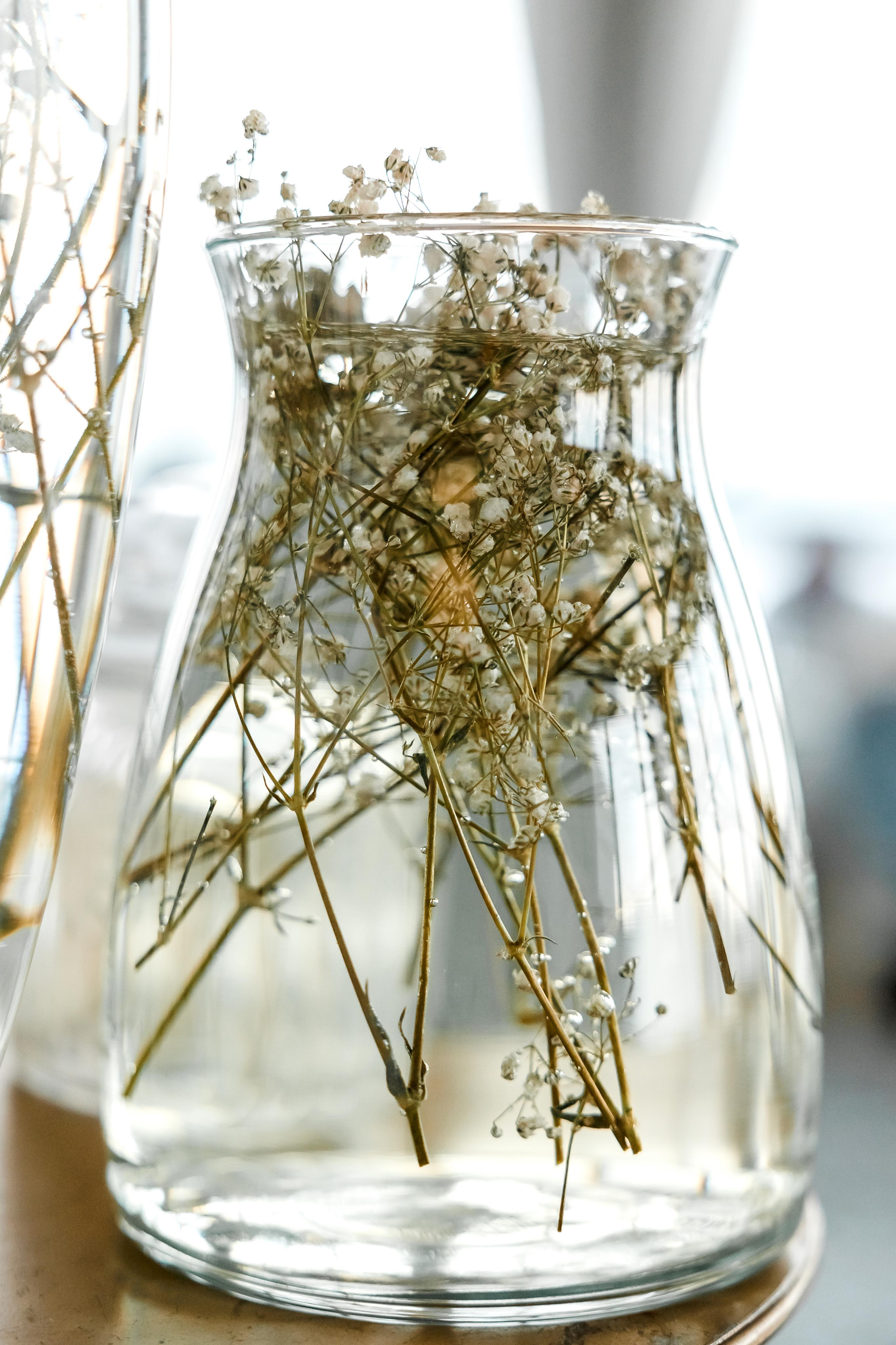 Честит Първи Рожден Ден. Фотограф Ирина Йотова