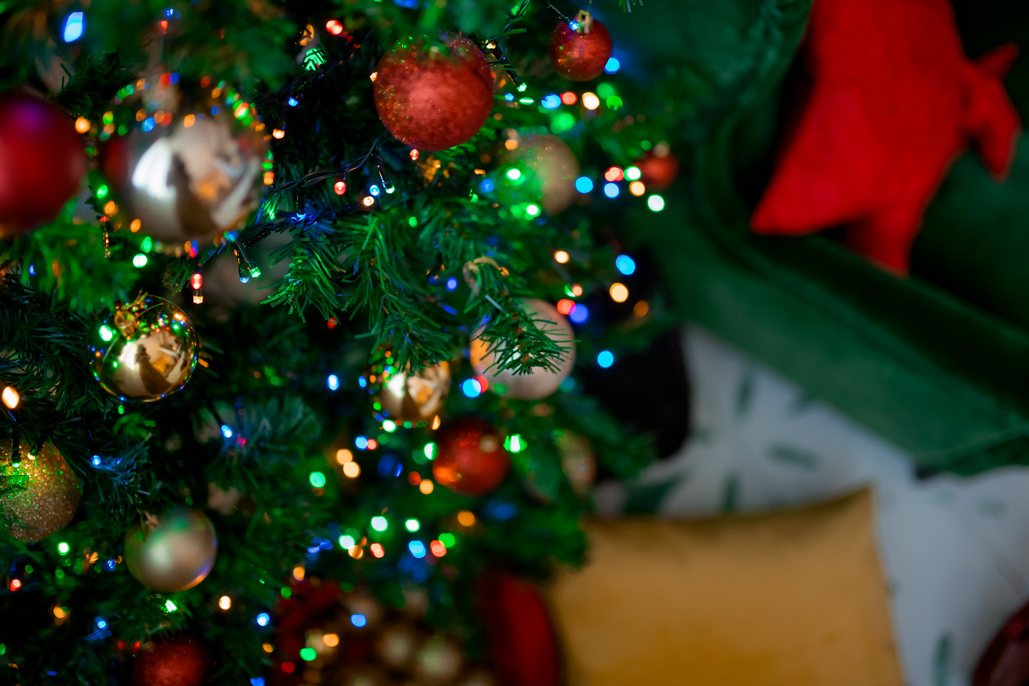 Коледа 2021. Фотограф Ирина Йотова