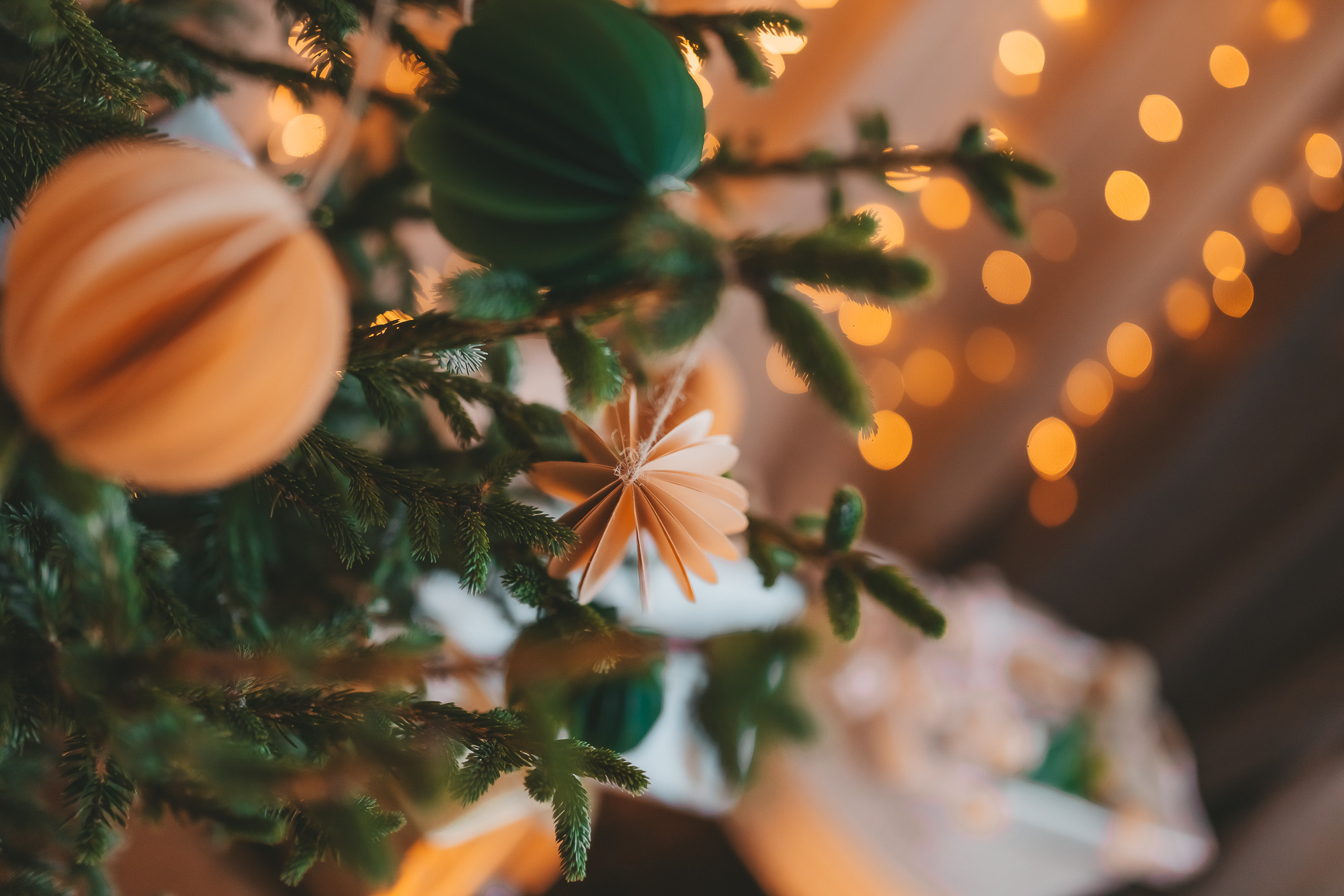 Коледа 2021. Фотограф Ирина Йотова