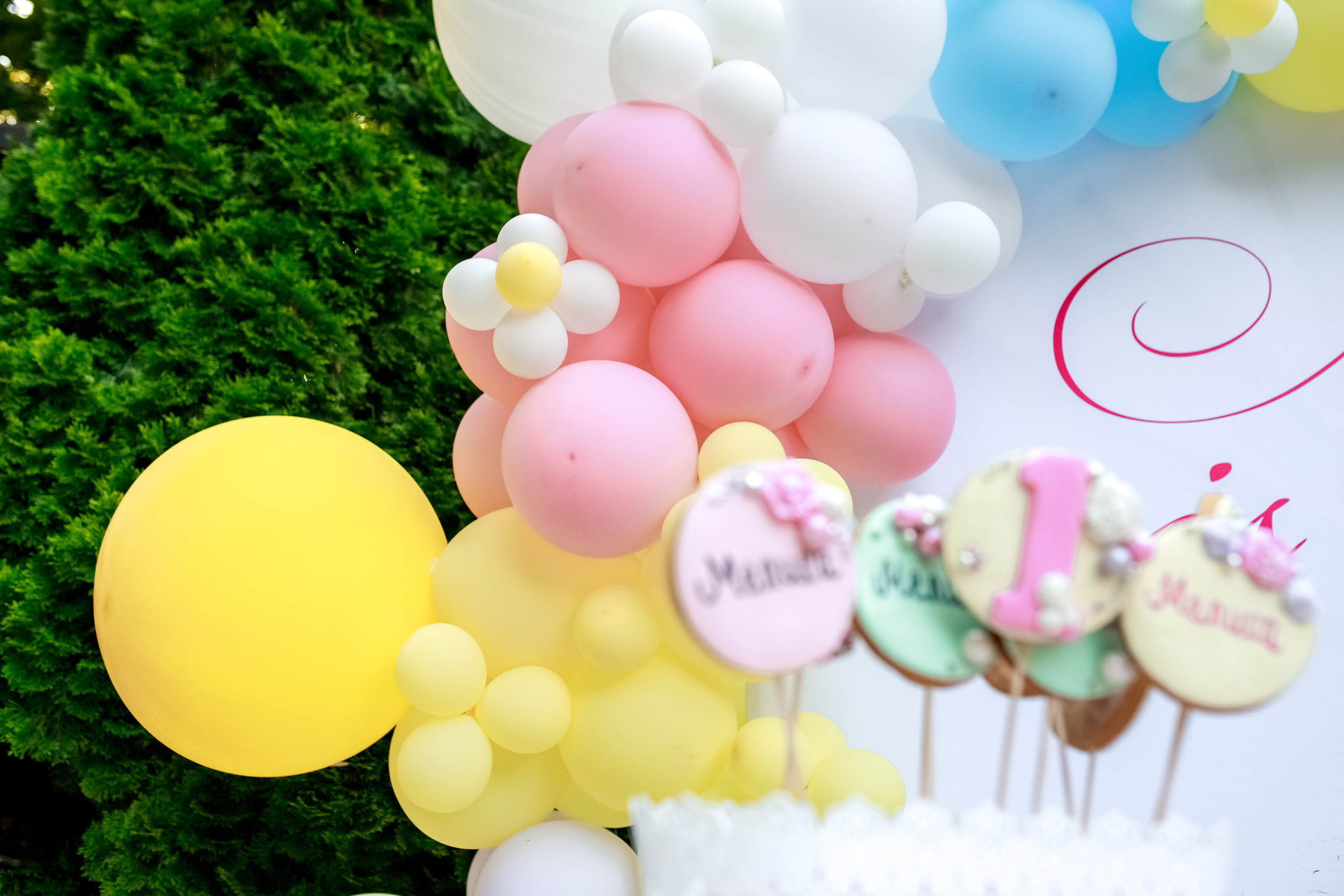 Честит Рожден ден. Фотограф Ирина Йотова