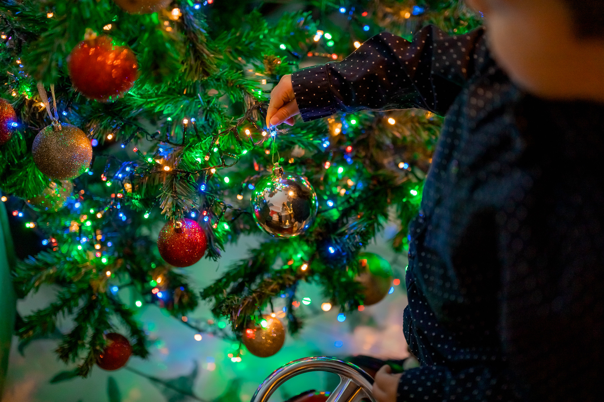 Коледа 2021. Фотограф Ирина Йотова