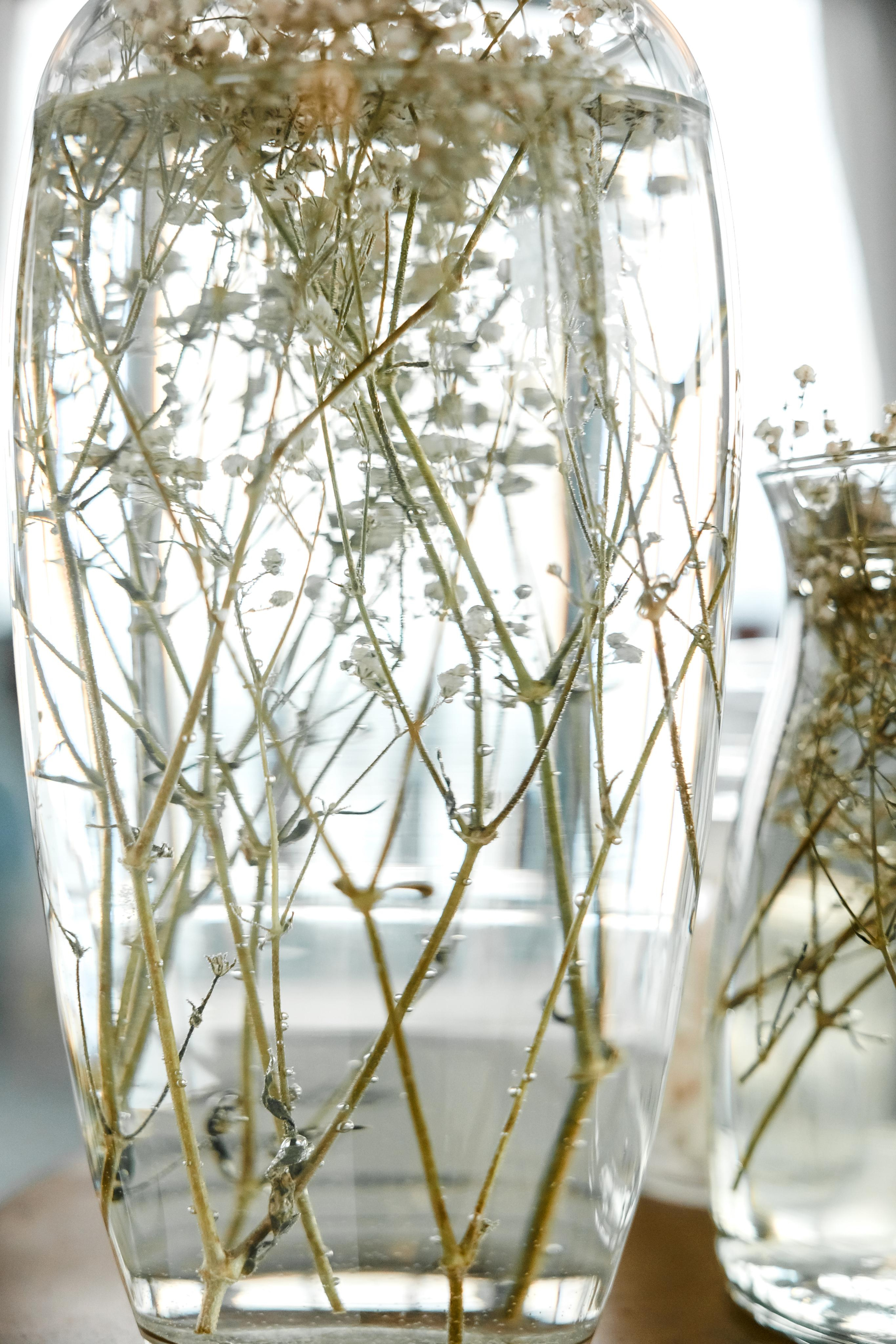 Честит Първи Рожден Ден. Фотограф Ирина Йотова