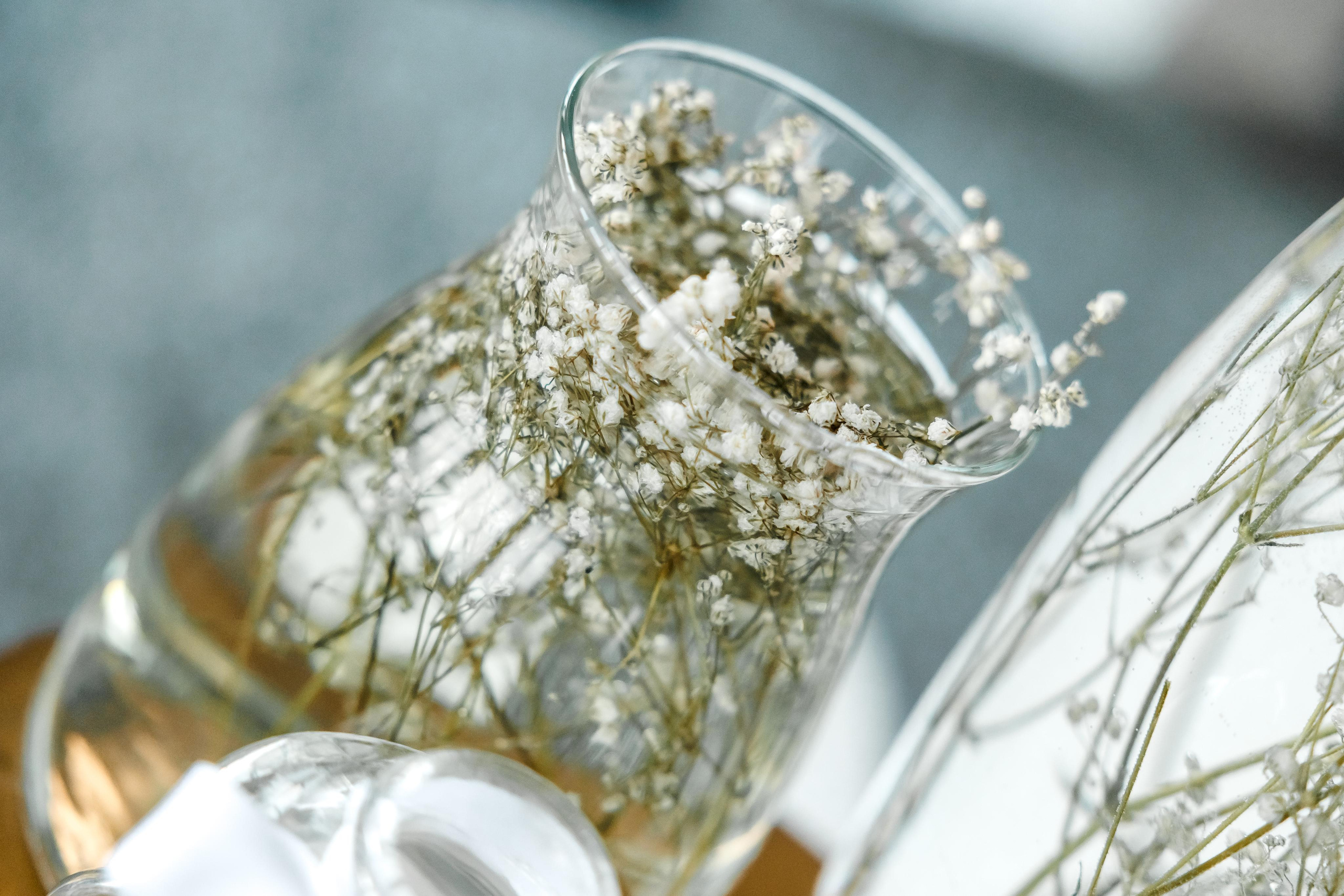 Свето Кръщение. Фотограф Ирина Йотова