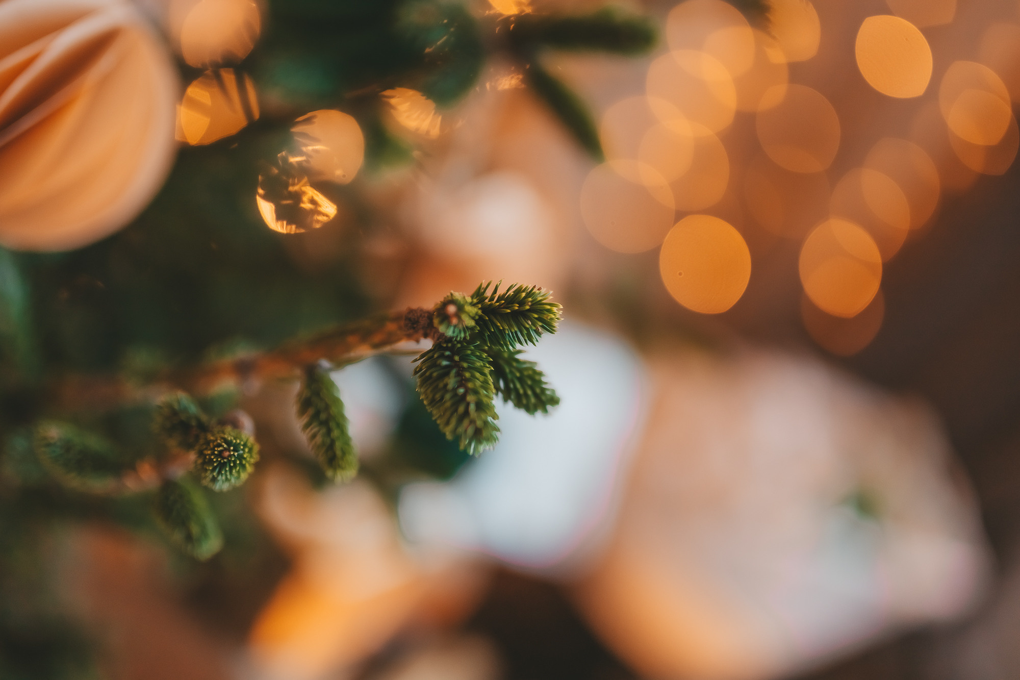 Коледа 2021. Фотограф Ирина Йотова