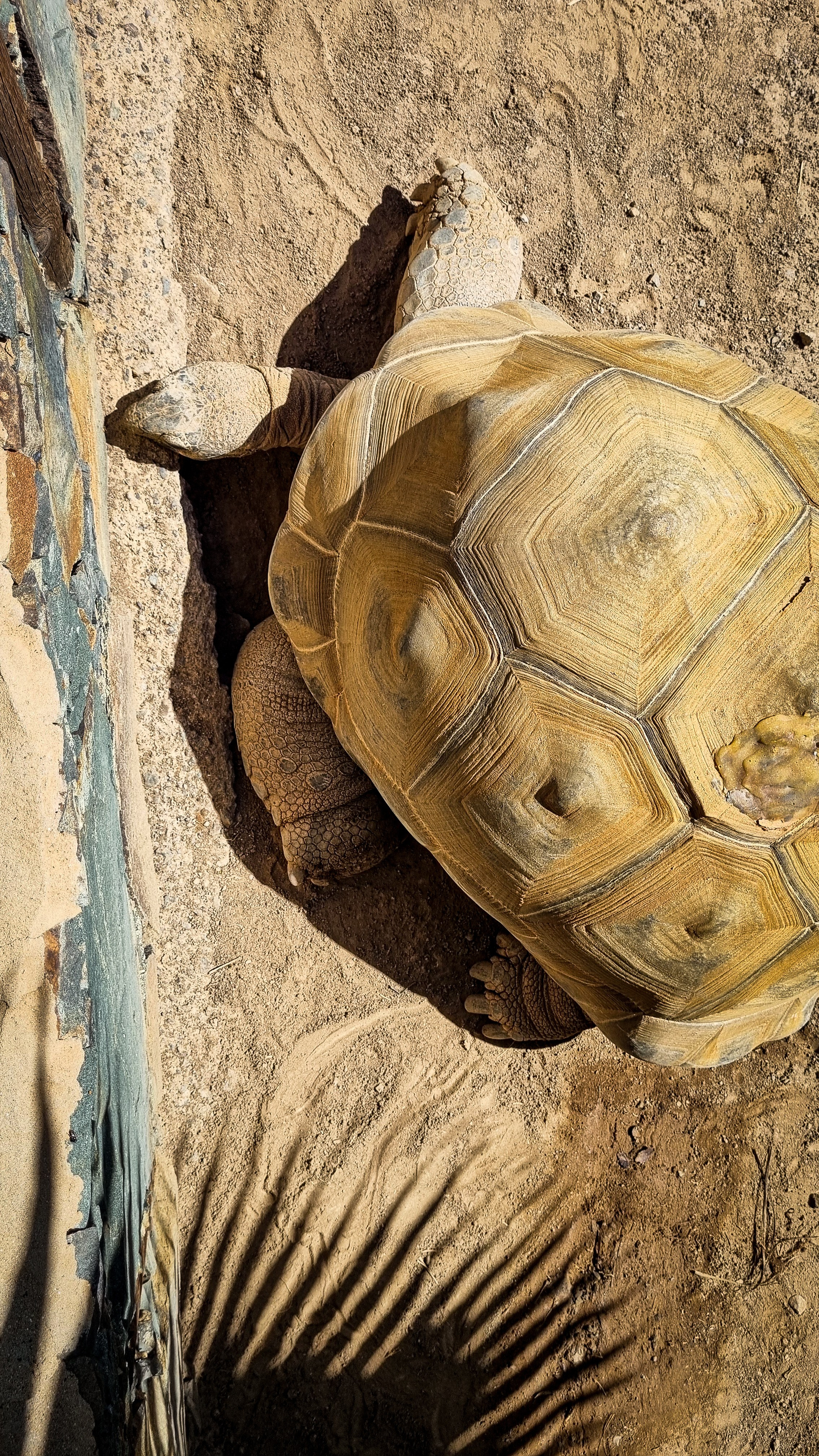 Gran Canaria 2024. Марина фотограф из Нюрнберга
