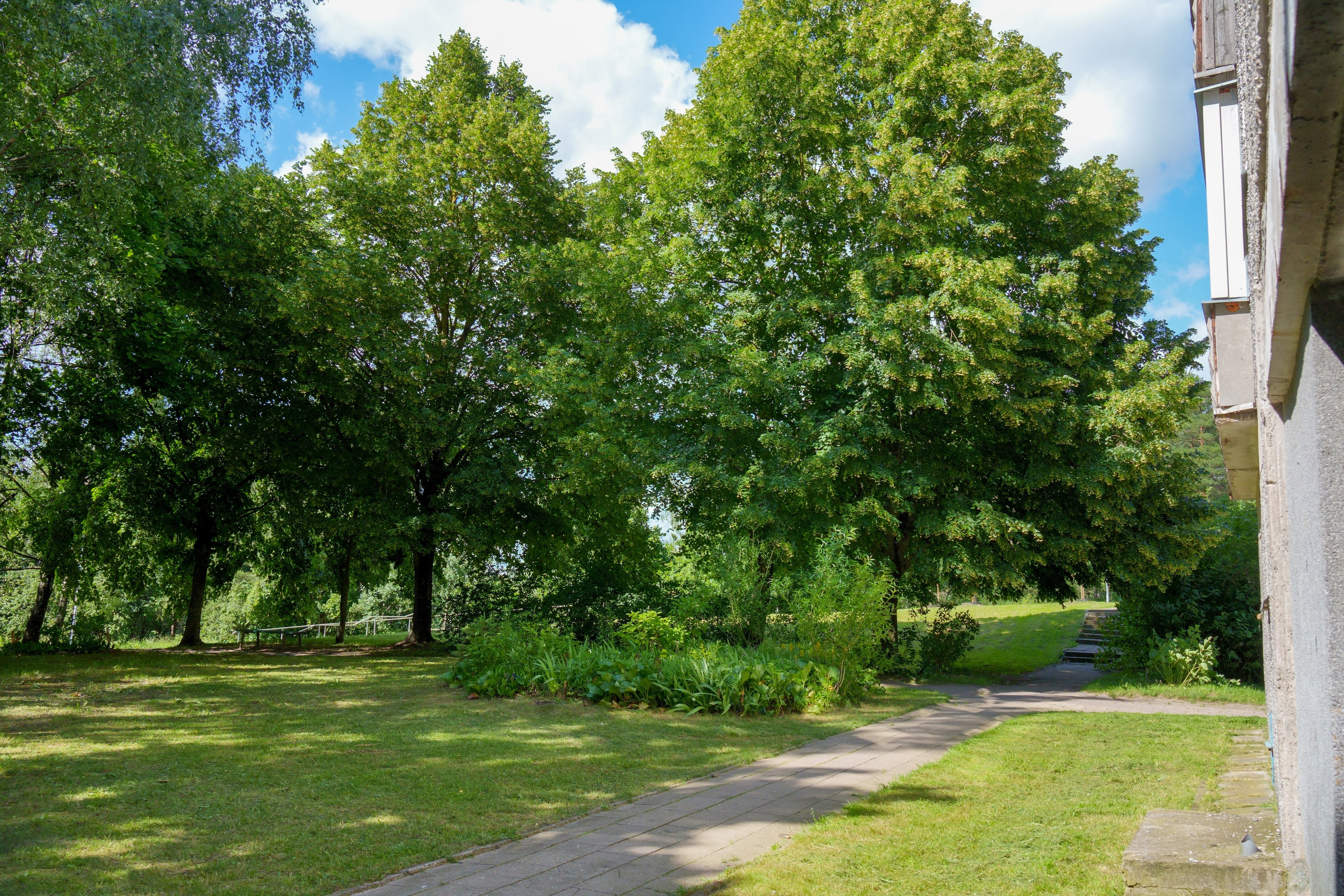 Viršuliškių g. 29. Elina Sapiega fotografė Vilniuje