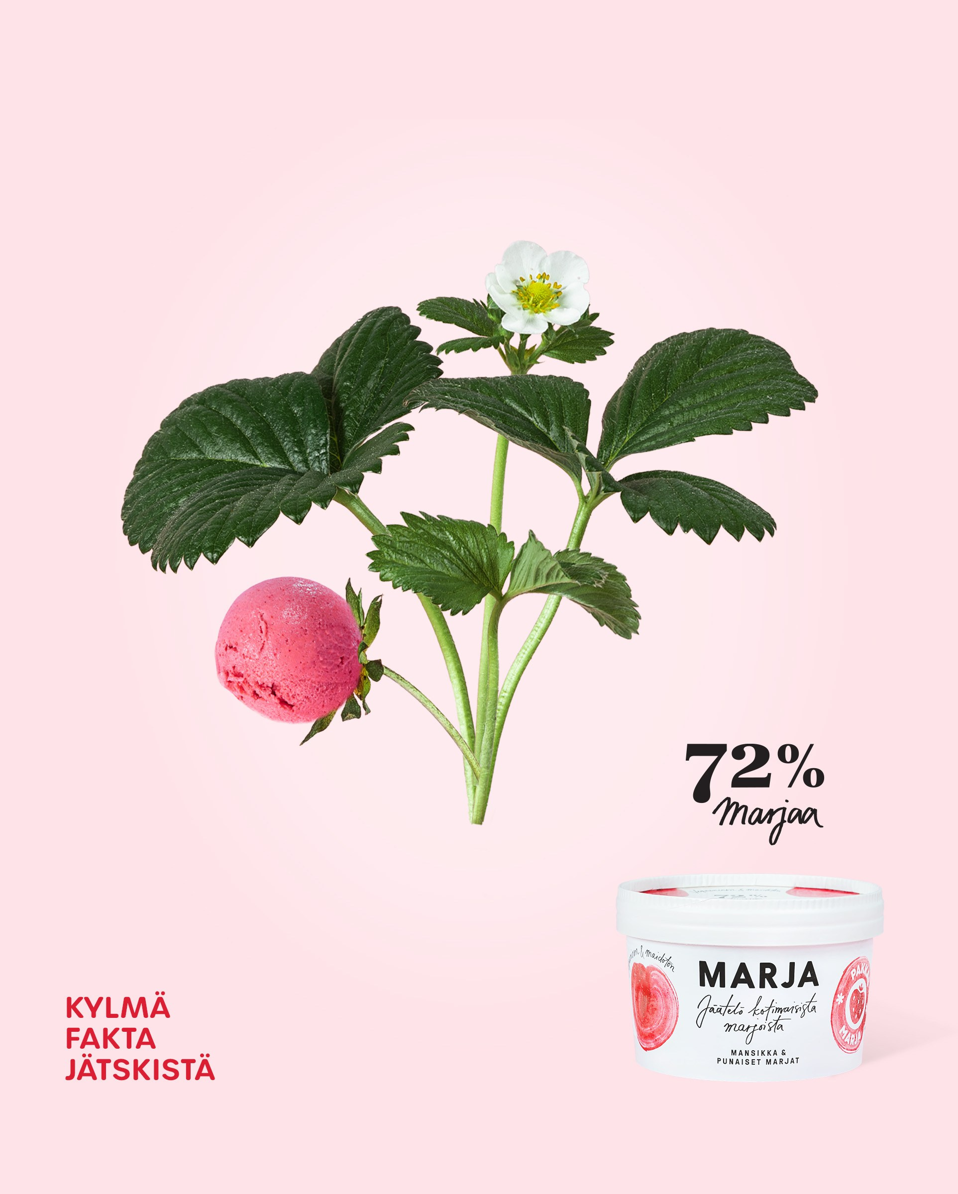 Pakkasmarja. Anna Z commercial photographer and graphic designer based in Turku