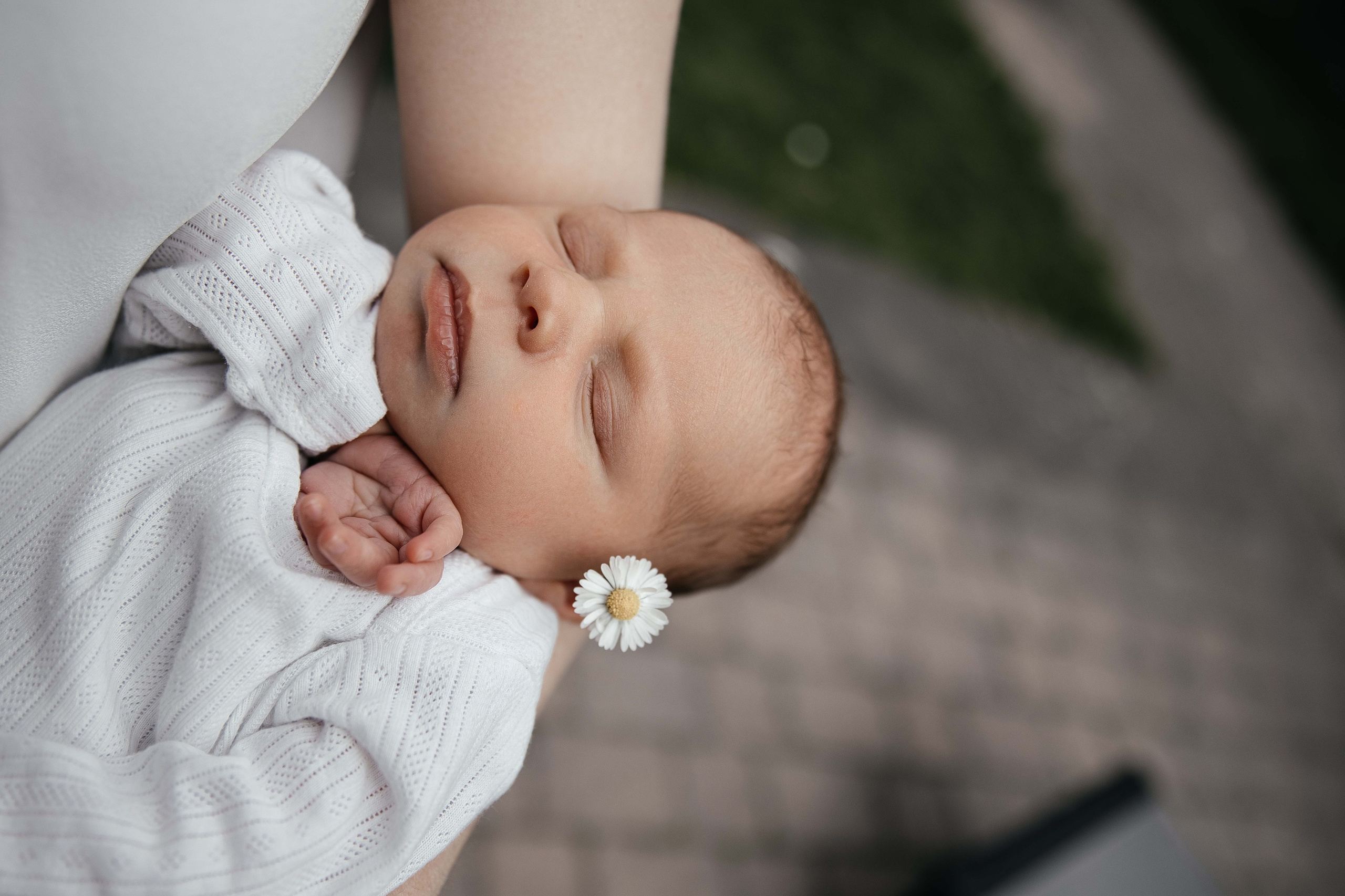 Newbornfotografin. Familien-, Hochzeits- und Newbornfotografin Neustadt an der Weinstraße