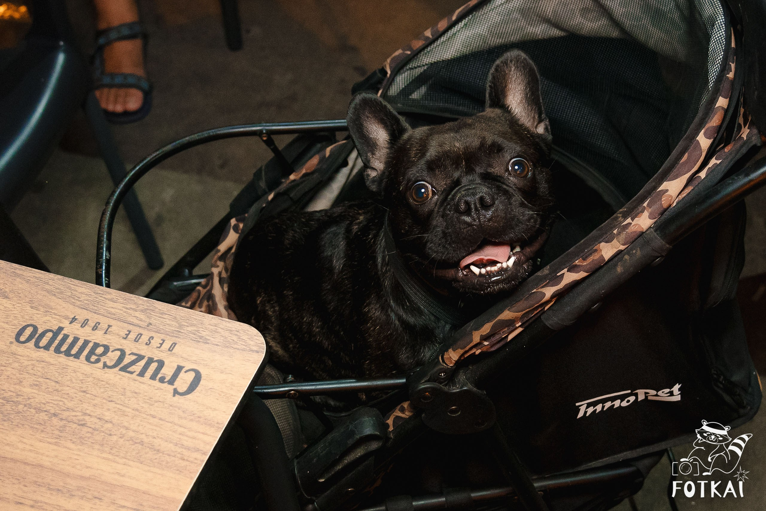 El Paso Rock Bar Torrevieja: Reportaje fotográfico 01.08.25 | FOTKAI