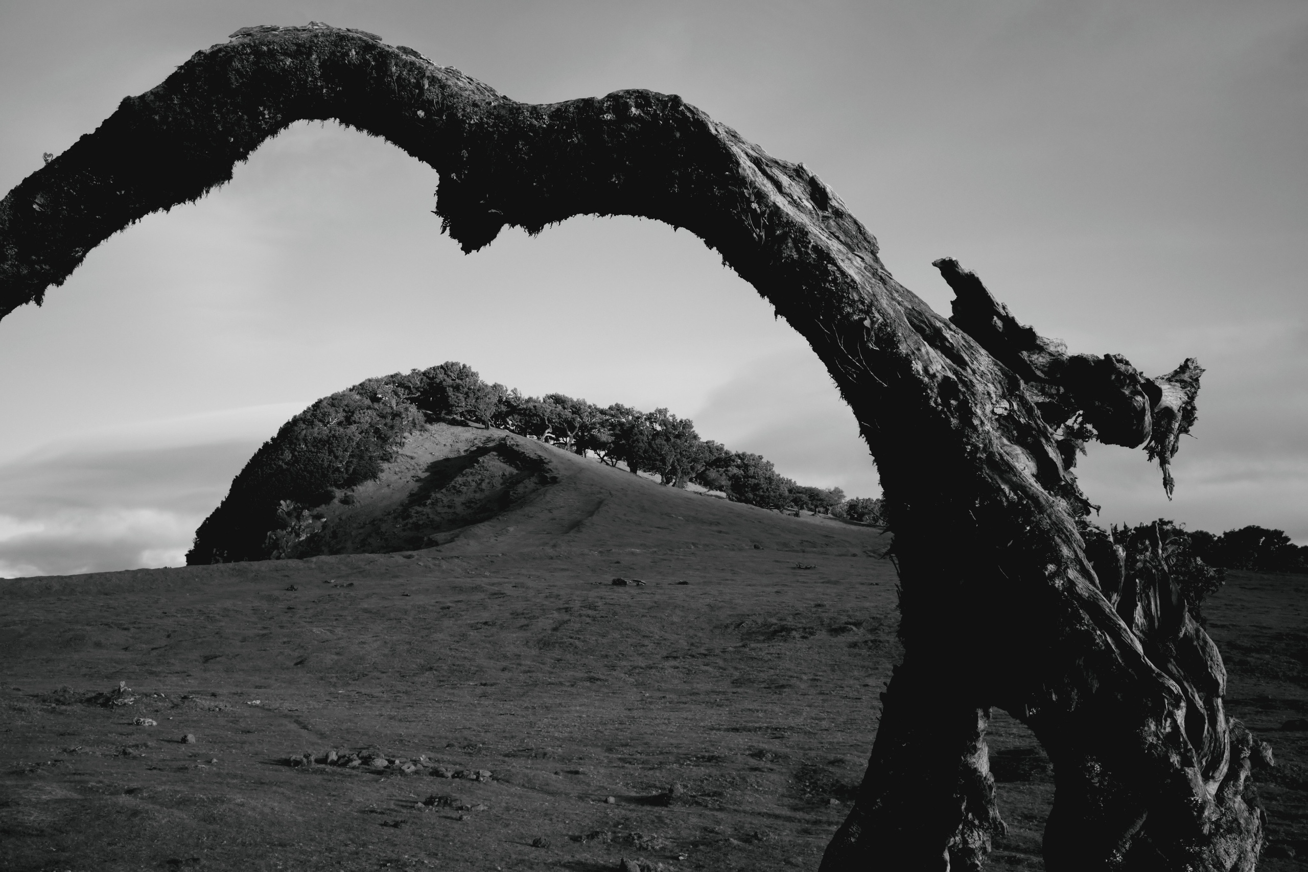 Wanderlust / Film photos. Fotografia personalna i fashion dla marek i agencji modelingowych. Warszawa, Europa. Yaroslav Storchak