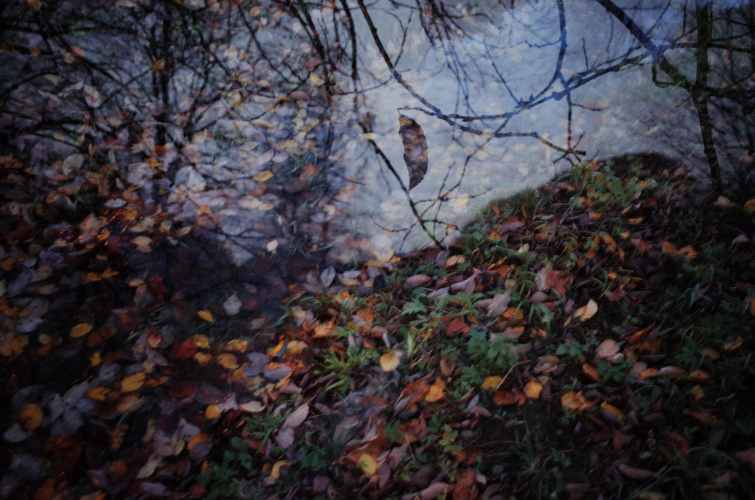 Demeter Dreams. Victoria Dini. Art photography in London / Folkestone, UK