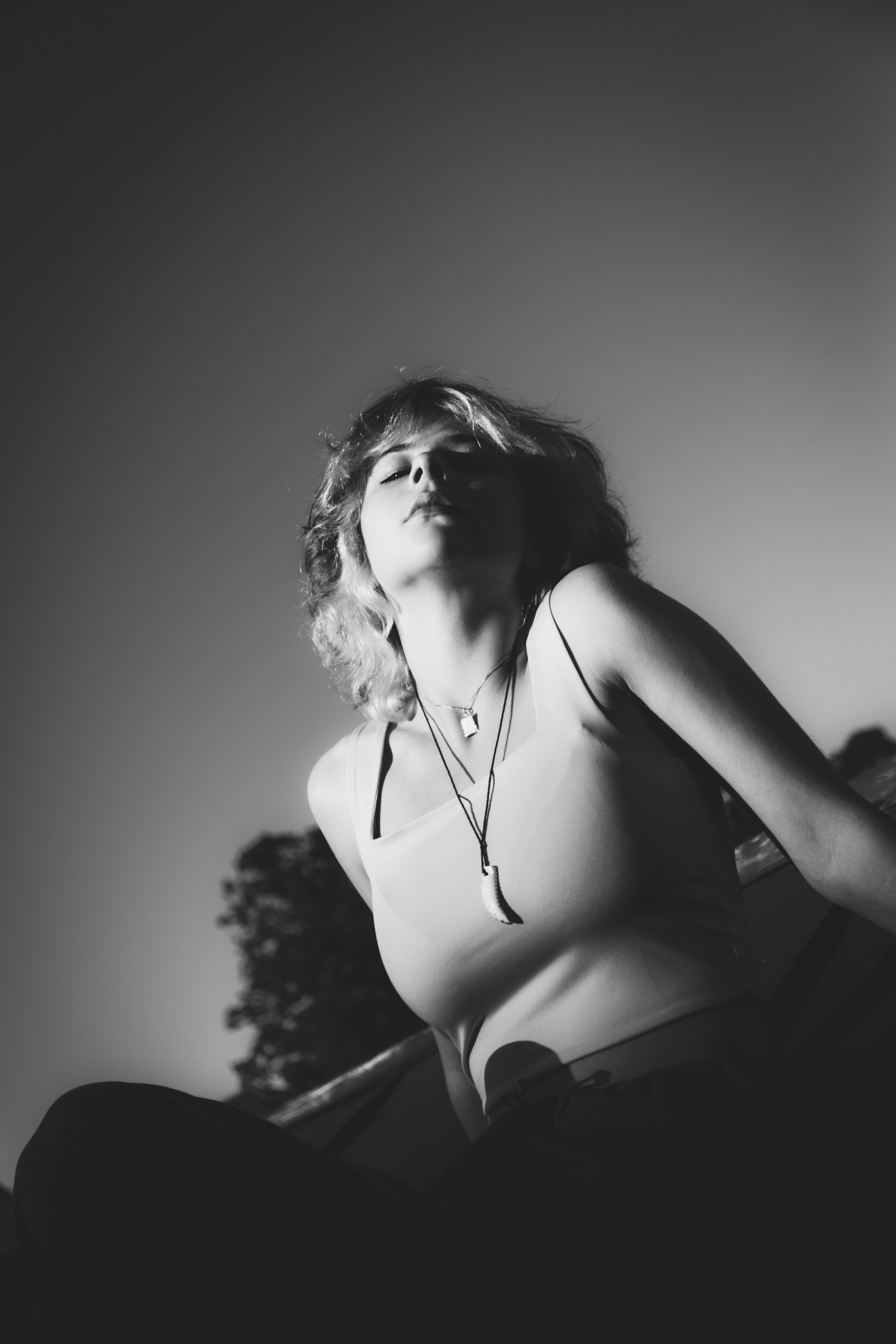 Lahe graatsia (Sonja). Nebula 25 — Fotod teie hingele