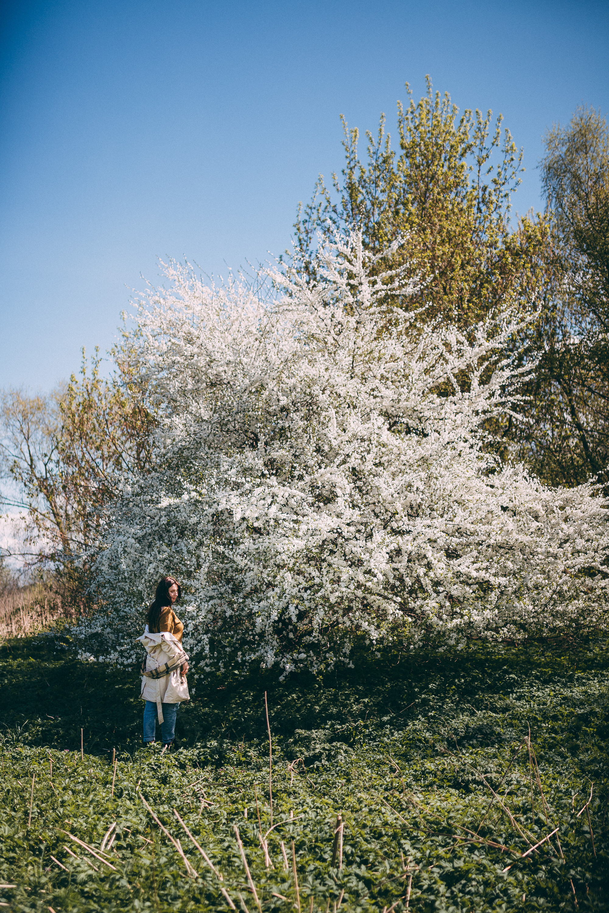 Sieviešu fotosesija ziedonī. Fotogrāfs Rīgā — Katerina Gordik