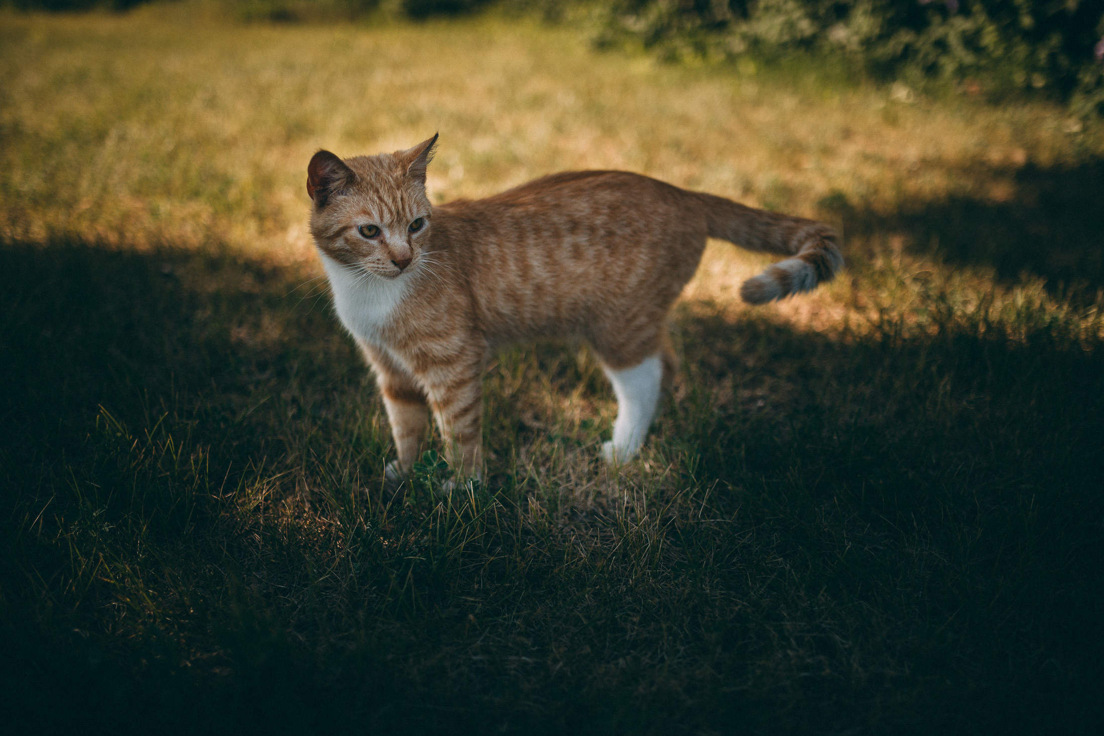 Фотосессия мамы и дочки на природе Mammas un meitas fotosesija dabā. Fotogrāfs Rīgā — Katerina Gordik