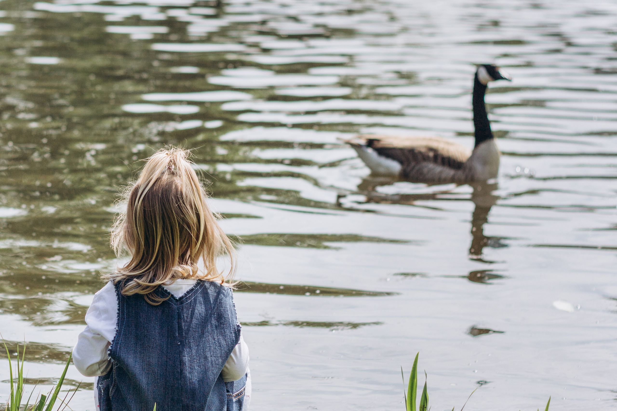 Familienshooting outdoor. Fotoshooting in Nürnberg und Fürth