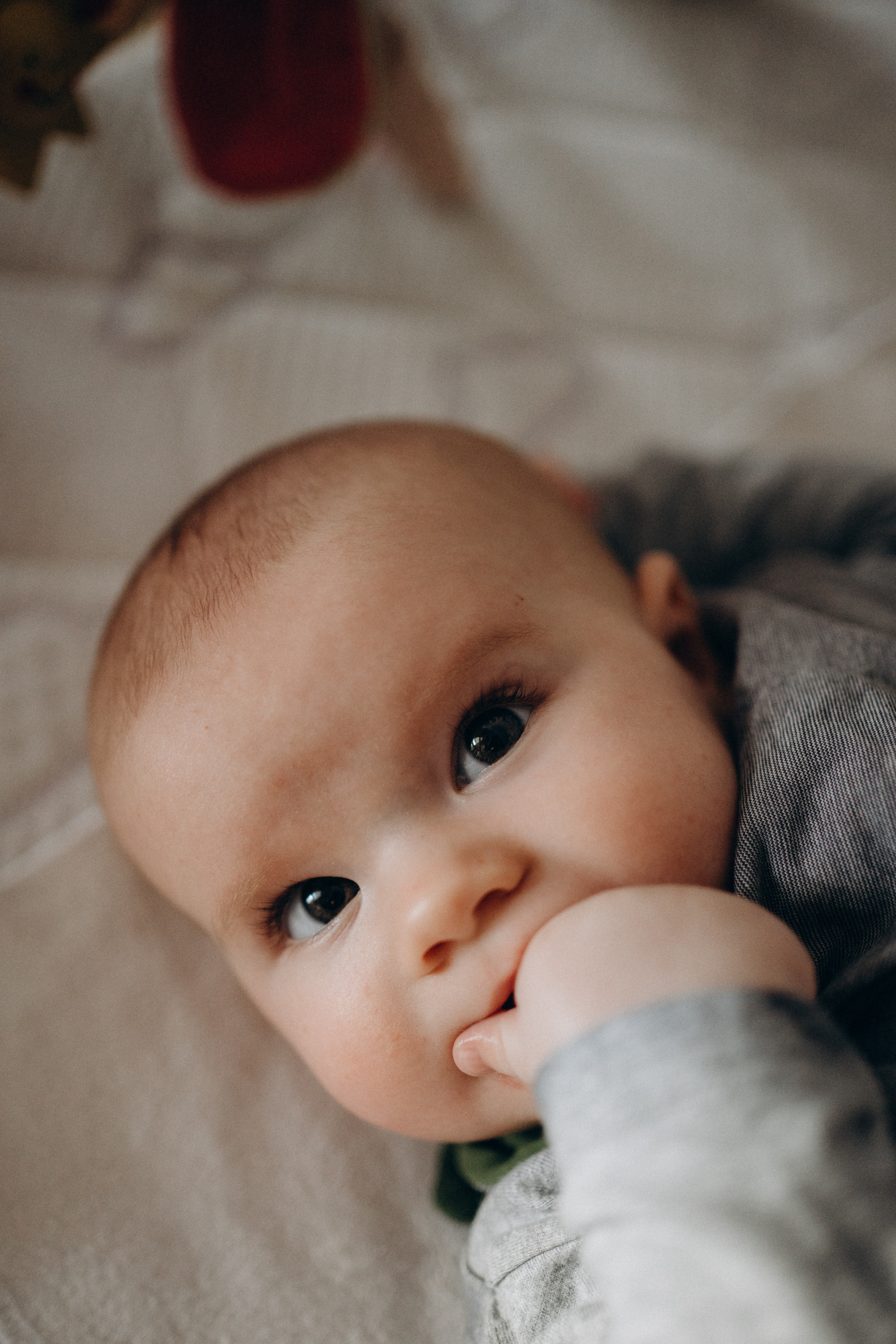Familienshooting Zuhause in Nürnberg. Fotoshooting in Nürnberg und Fürth