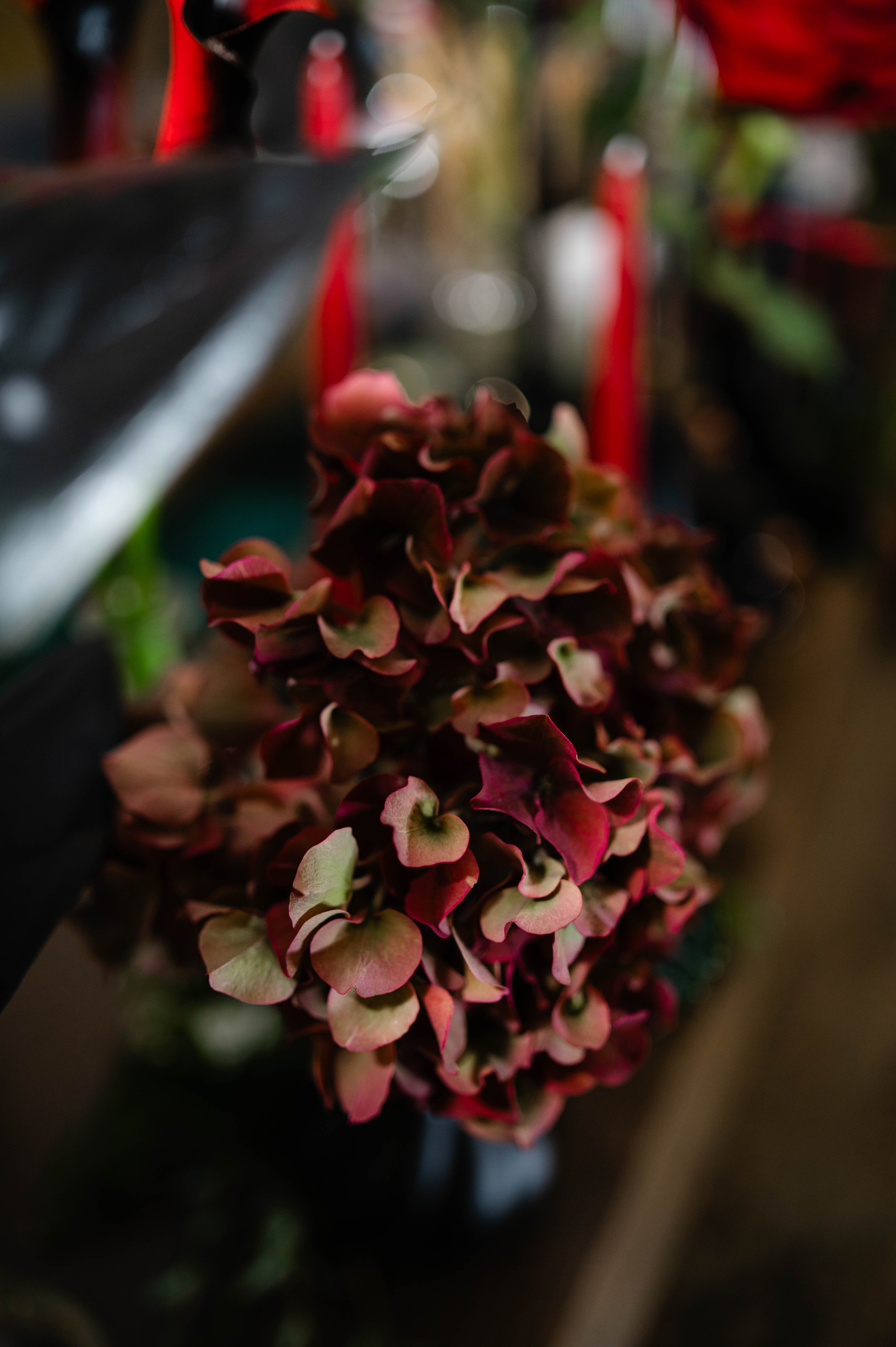 Wedding photos. Alexandra Hanu Photographer