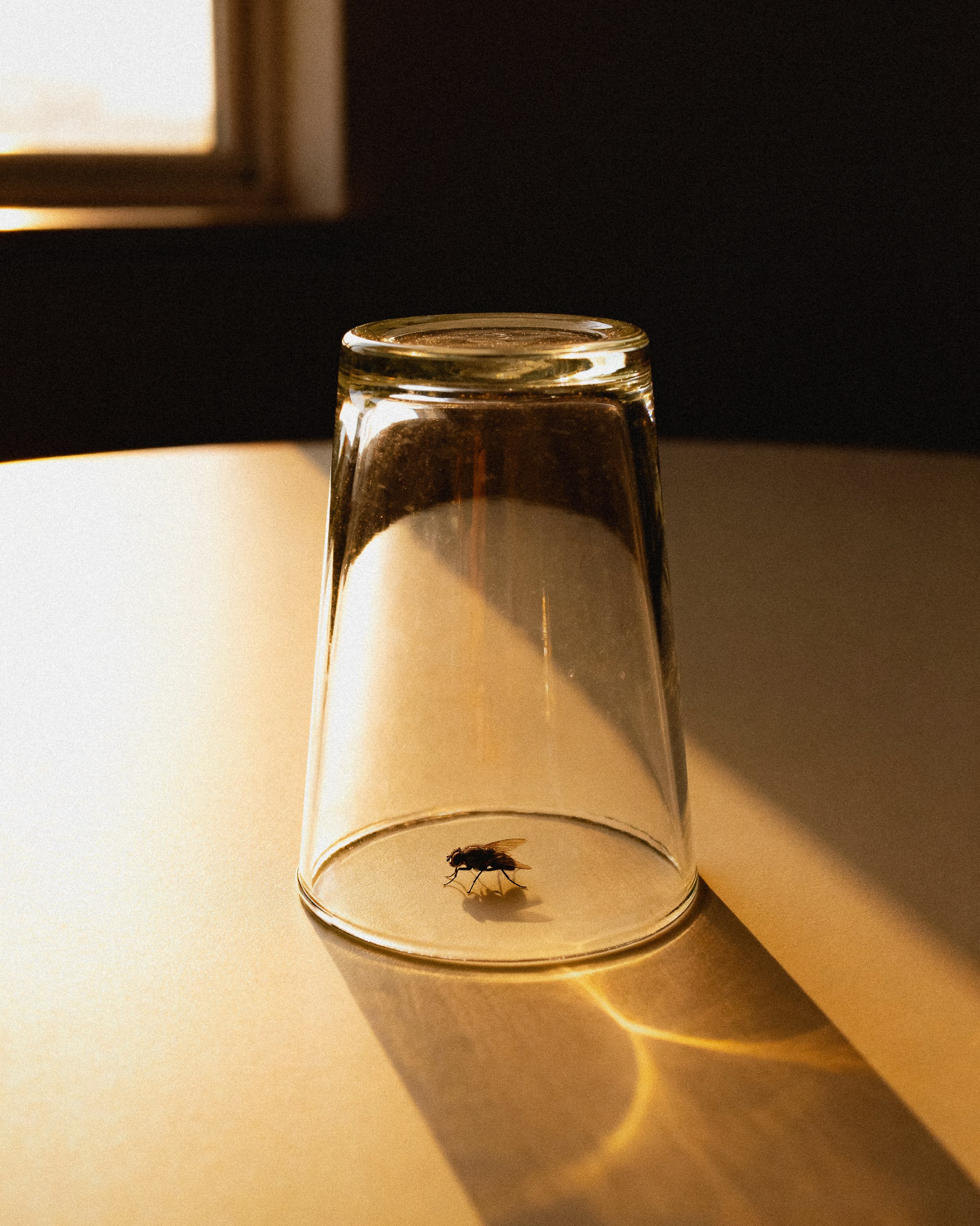 Images of things and items