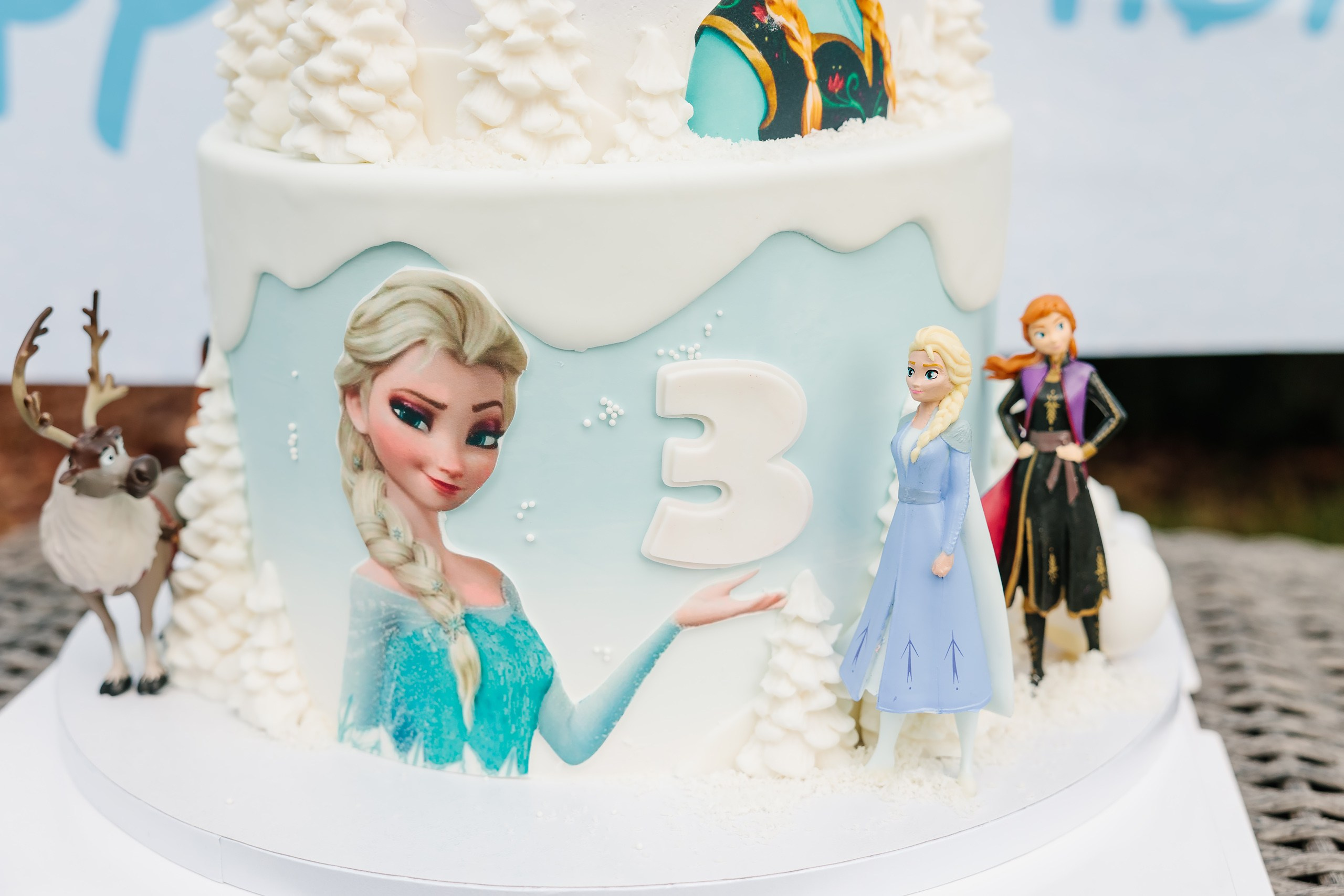 07.27.2024 Birthday Party. Wedding family event photographer in Chicago Nick Yushevich