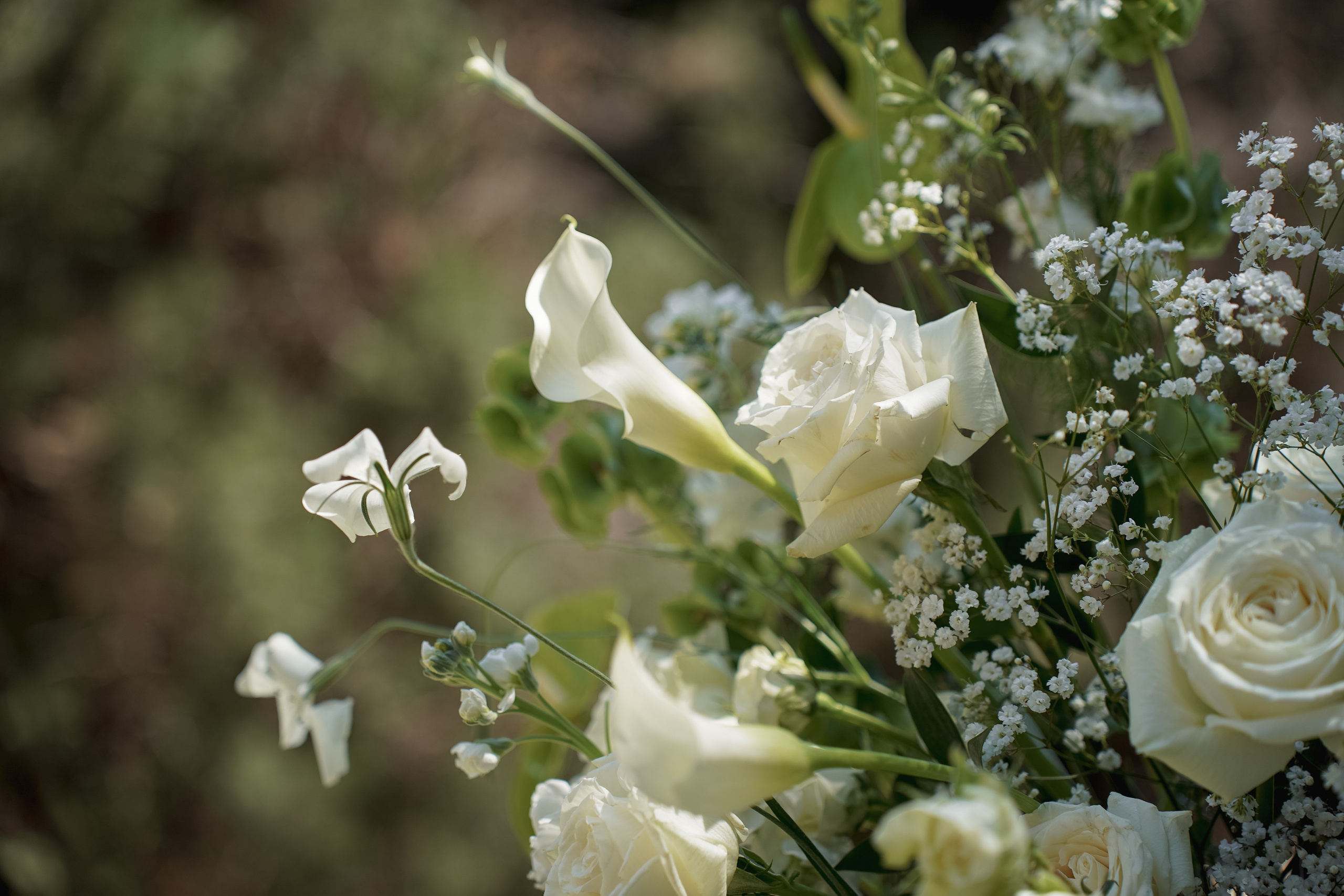 Josslynn&Harold Wedding