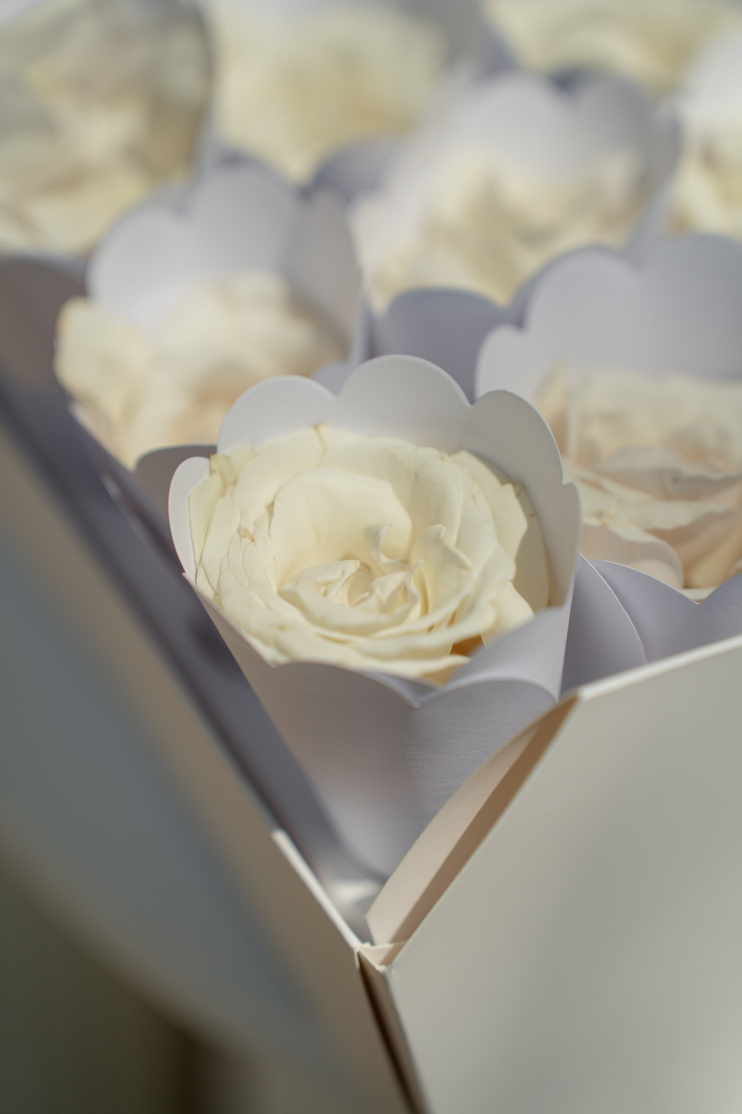 Josslynn&Harold Wedding