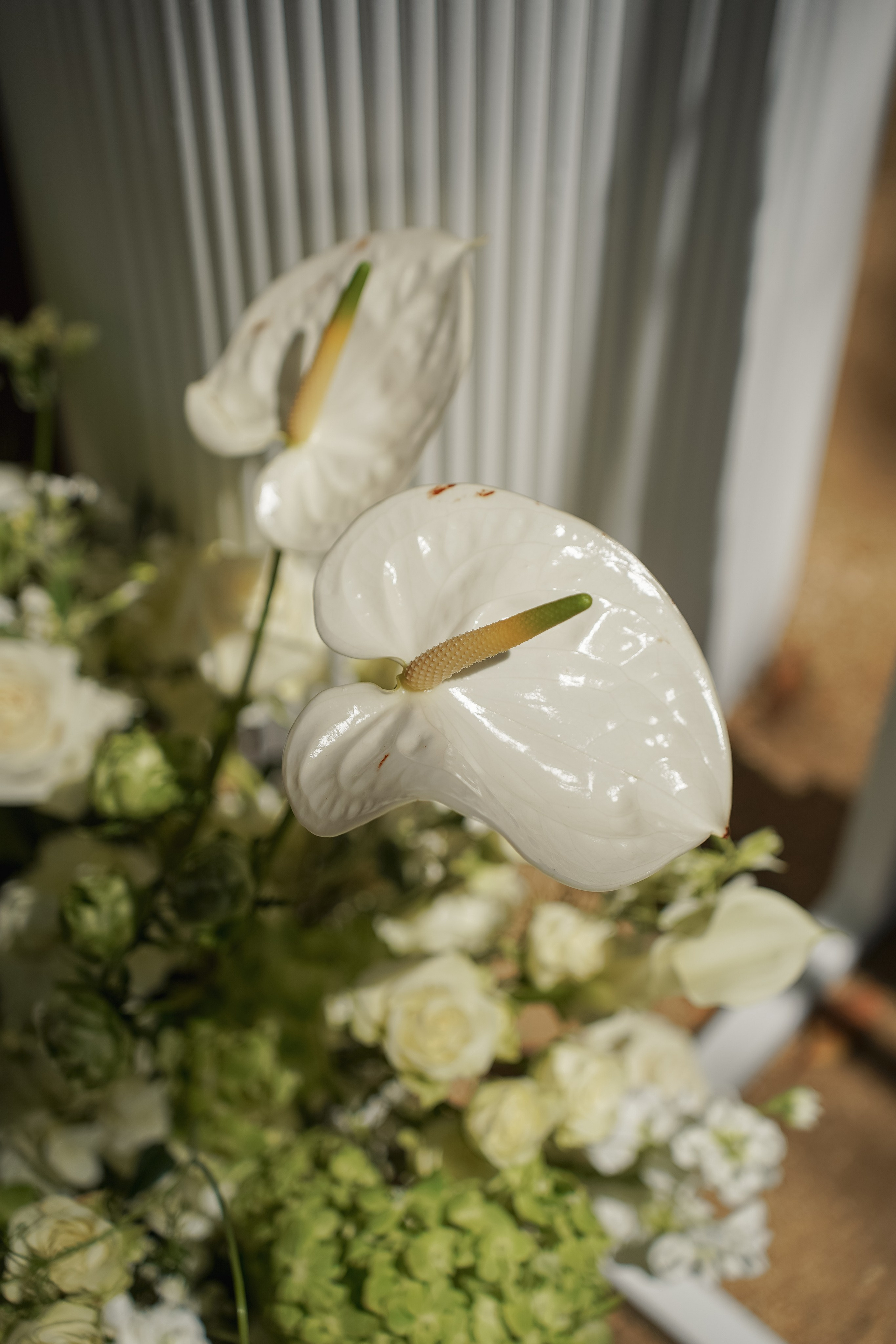 Josslynn&Harold Wedding