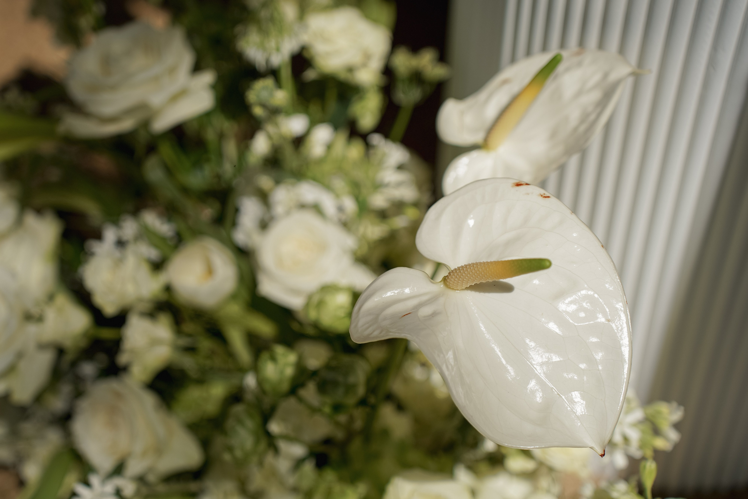 Josslynn&Harold Wedding