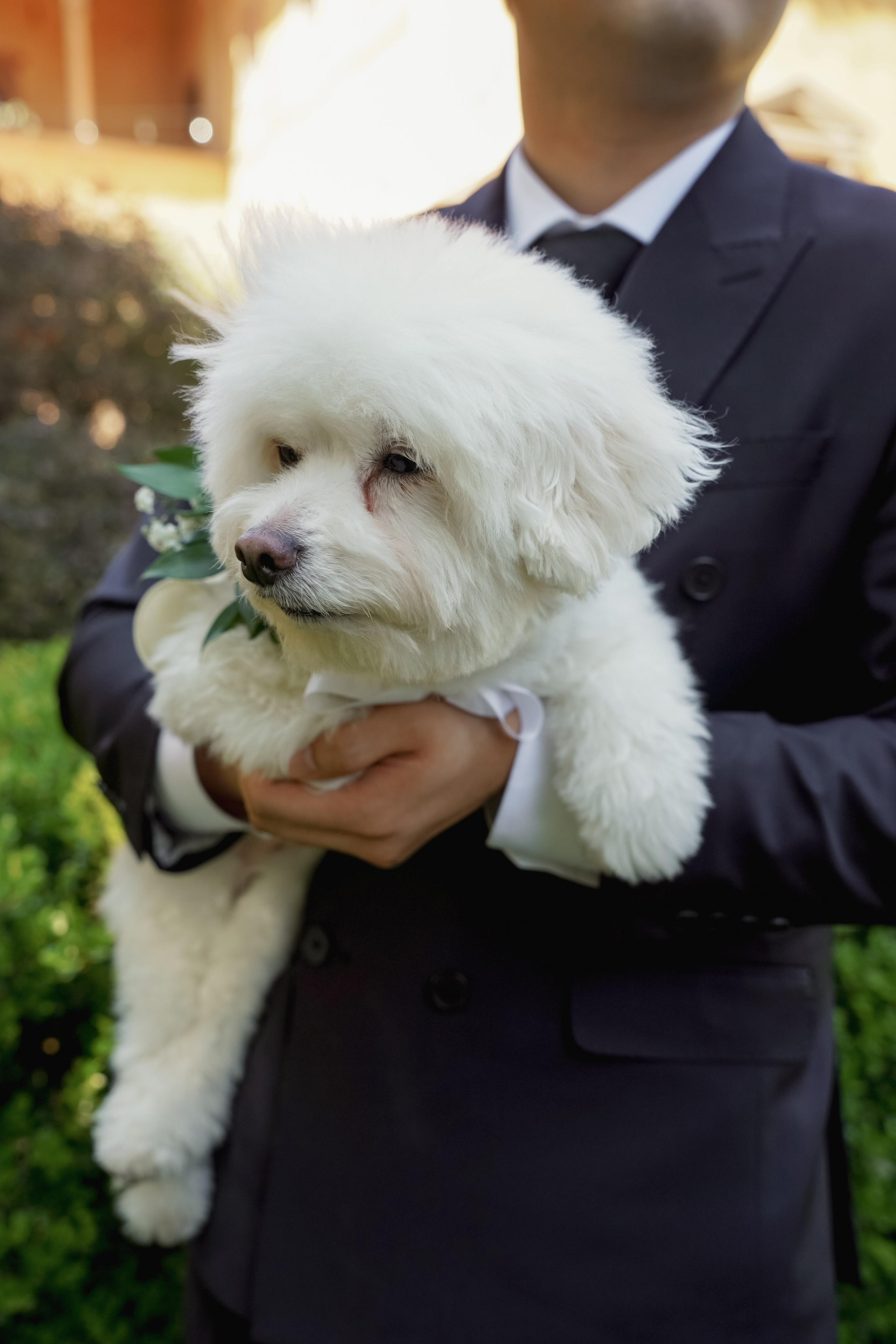 Josslynn&Harold Wedding