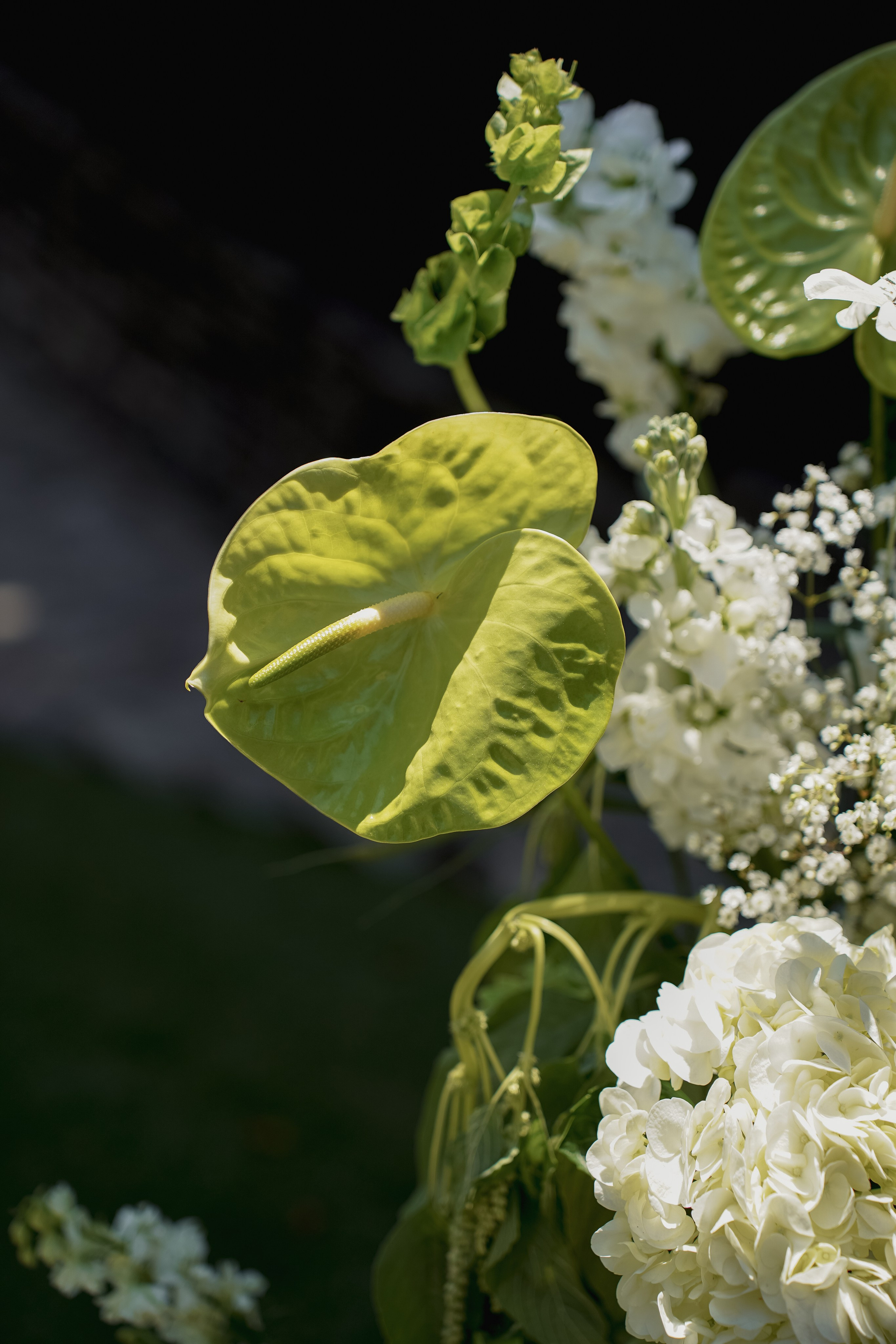 Josslynn&Harold Wedding